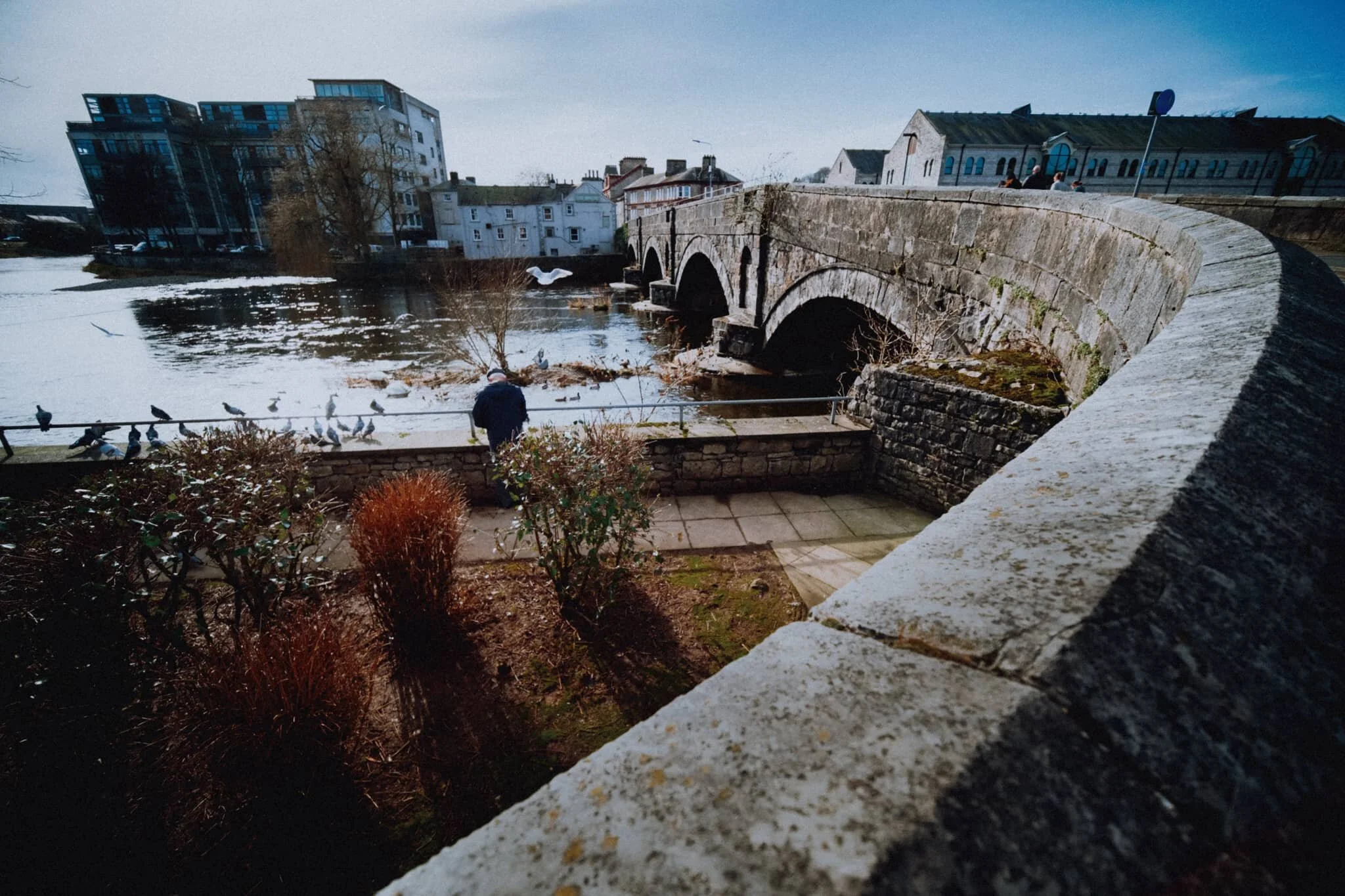  Up on Stricklandgate Bridge I saw this elderly gentleman enjoying some time with the local birds and feeding them. 