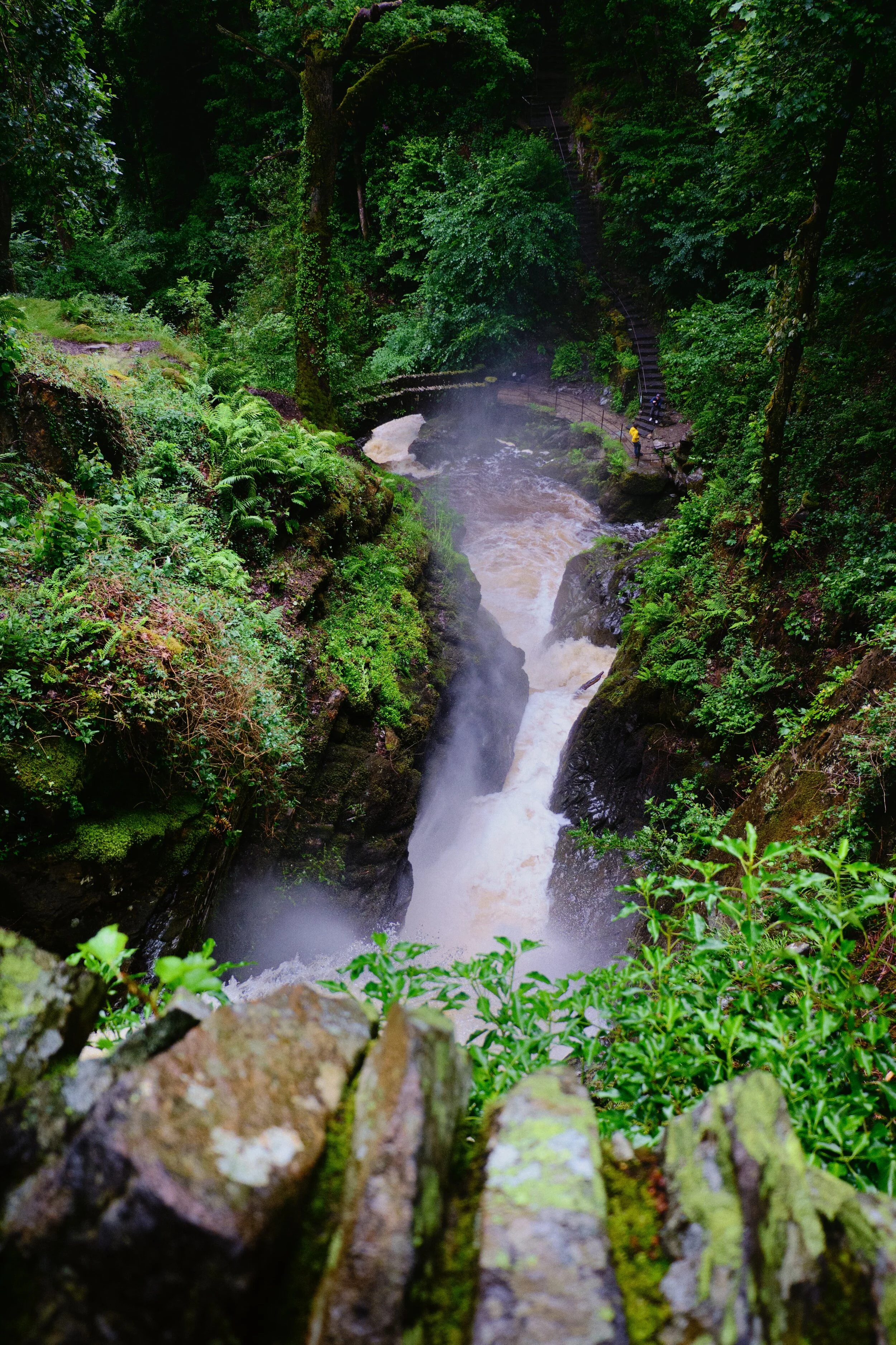  Looking down into the gorge from the bridge above Aira Force. The sheer wall of sounds and flying spray everywhere was immense. 