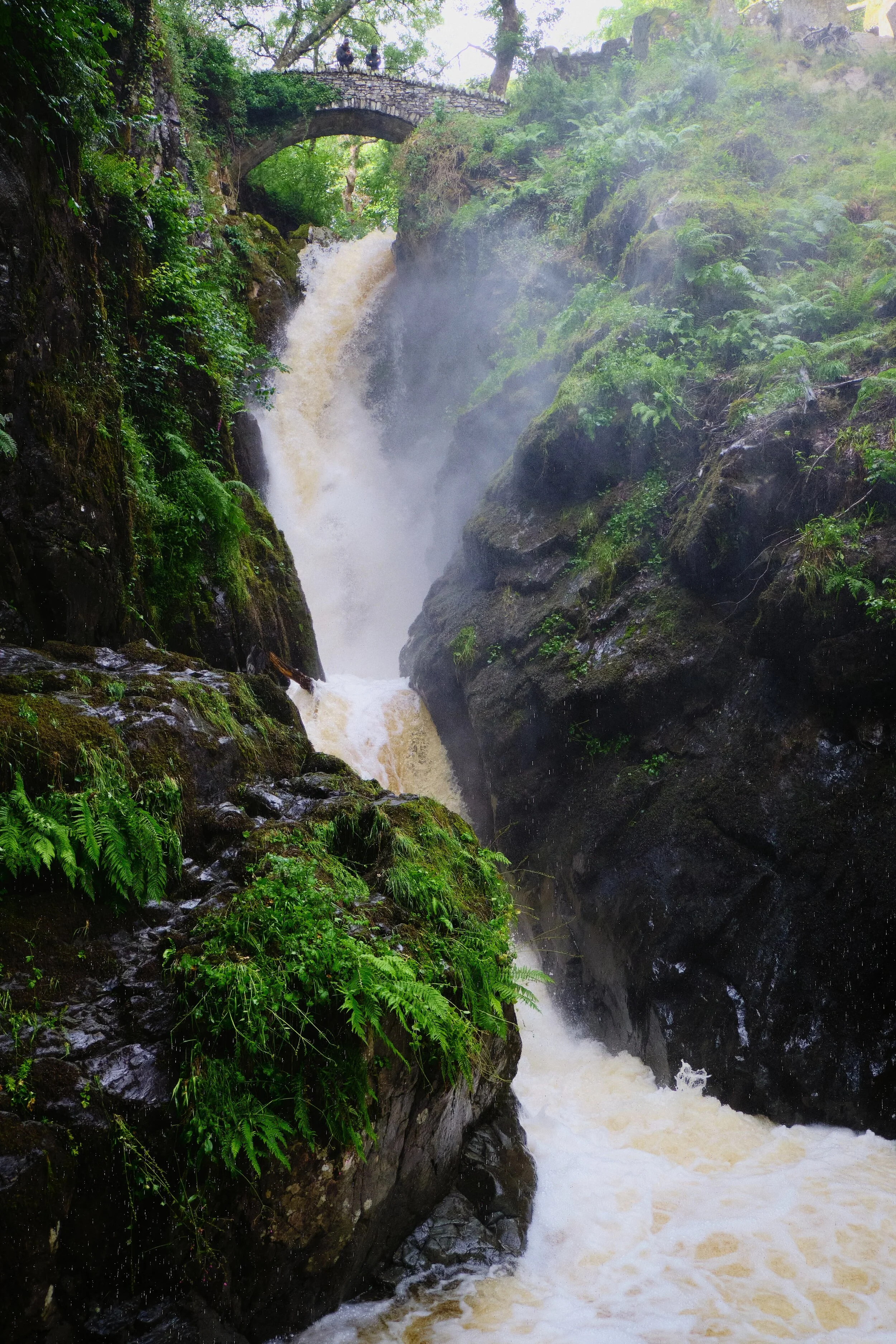  As I&rsquo;ve written on this blog many times before, the word &ldquo;force&rdquo; comes the Old Norse  fors  meaning &ldquo;waterfall&rdquo;. The word &ldquo;Aira&rdquo; comes from two Old Norse words:  eyrr , which means a gravel bank, and  á , which is a river, giving us &ldquo;river at the gravel bank&rdquo; and the full name meaning &ldquo;the waterfall on gravel-bank river&rdquo;. 