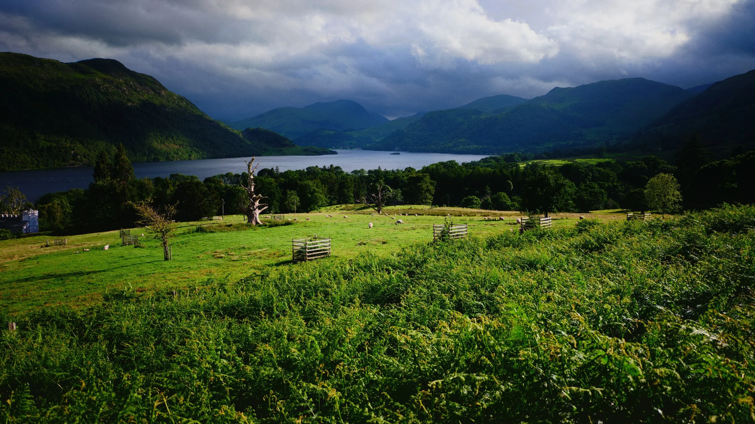 We popped out of the Aira Force gorge a little early to go for a quick wander up Gowbarrow Fell. There were some views of Ullswater and its fells that I wanted to show Lisabet. And  boy  what a view we got. 