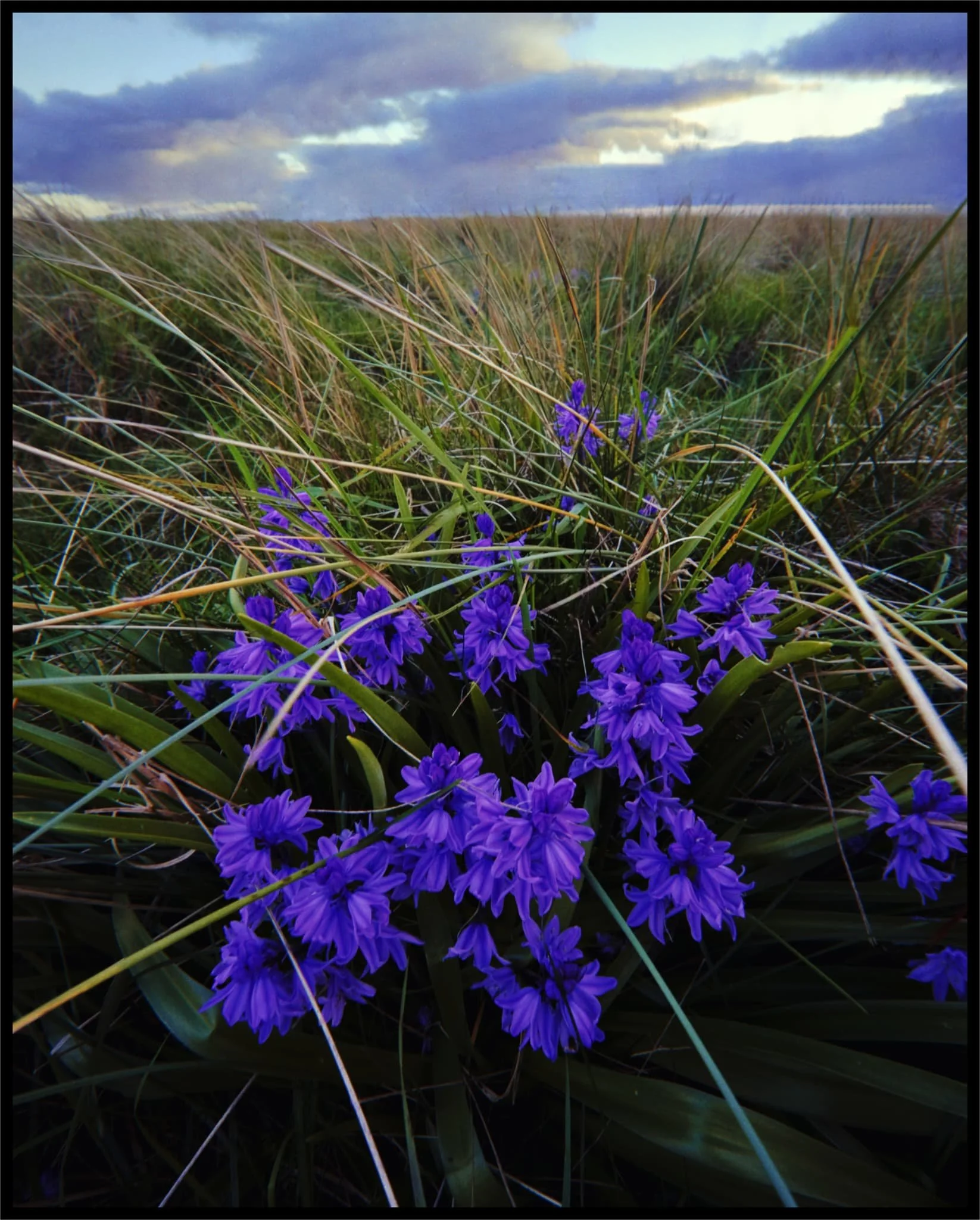  A gorgeous start to our break. 