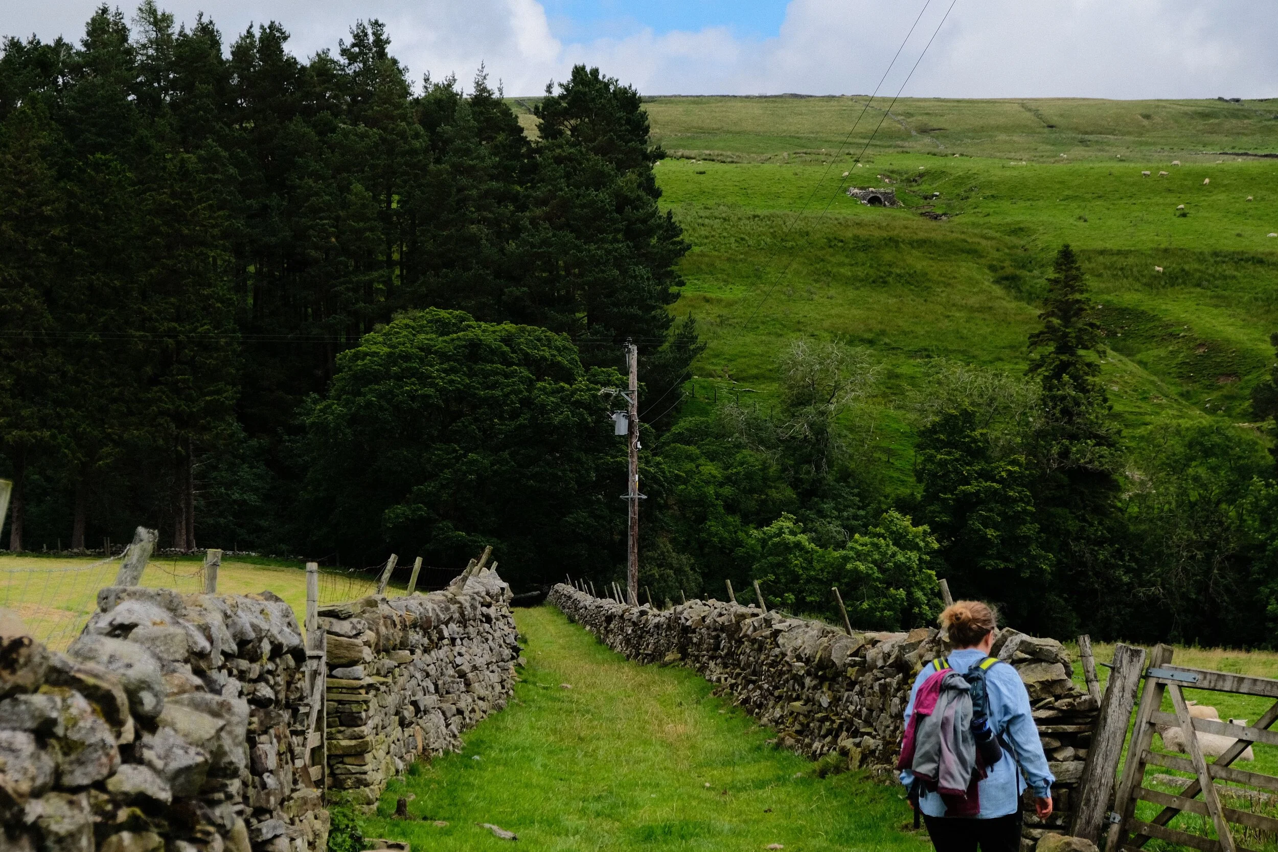  Heading down to the South Tyne Trail, which we&rsquo;ll follow alongside all the way to Ashgill Force. 