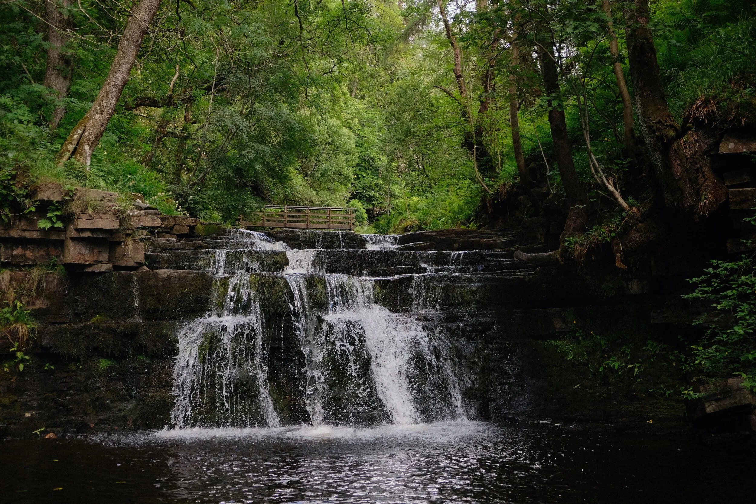  Could do with more water though. 