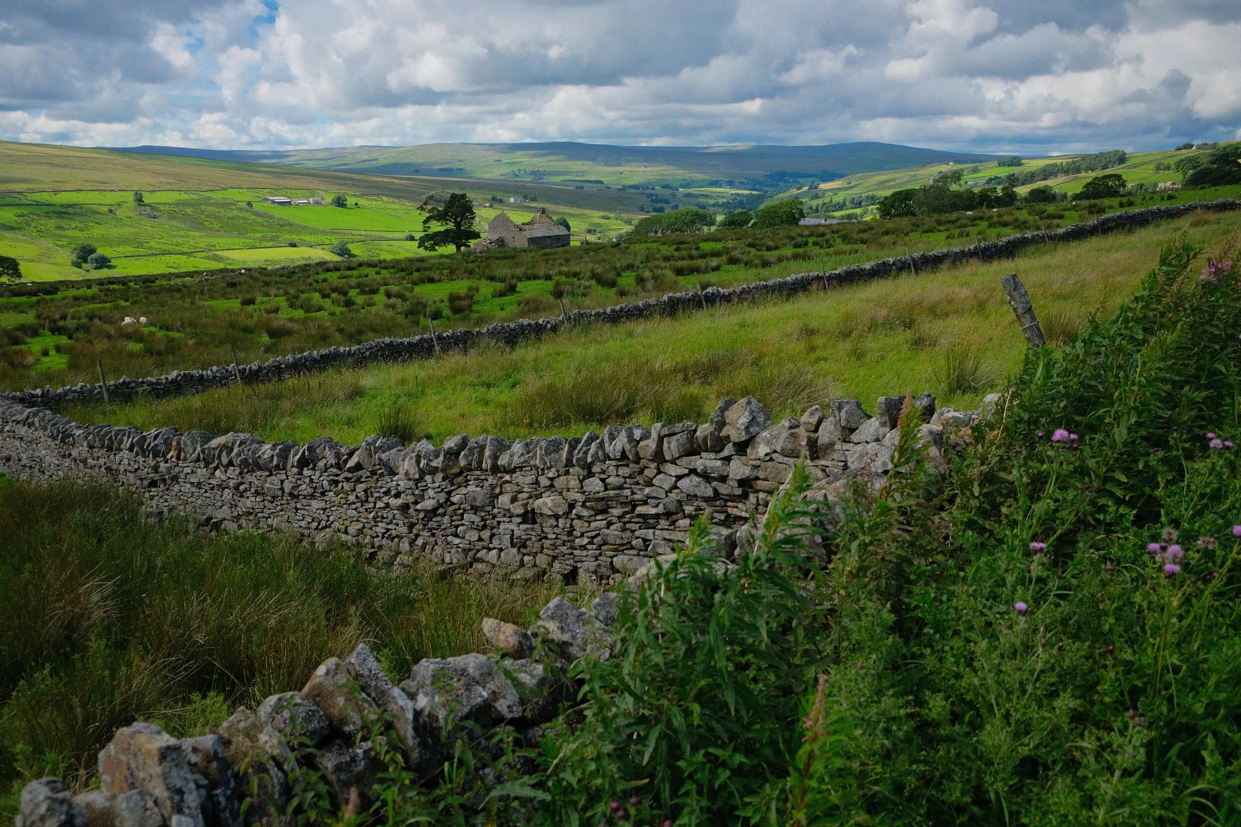  This part of the North Pennines feels very similar to  Swaledale , for me. 