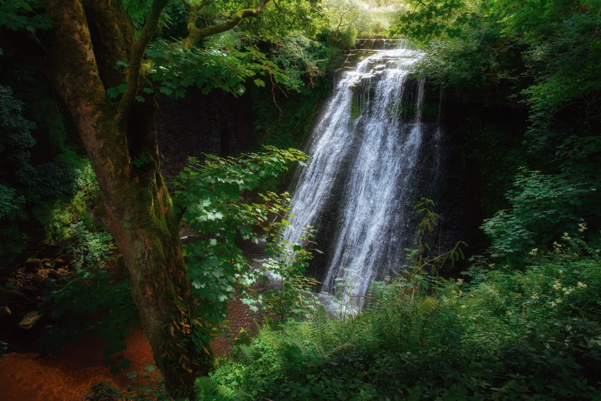  Just south of Gayle it&rsquo;s enough to find the trail that leads down the woodland right alongside Gayle Beck. A little further on, Aysgill Force comes into a view, a beautiful curtain or veil of a waterfall set in a small yet deep gorge. 