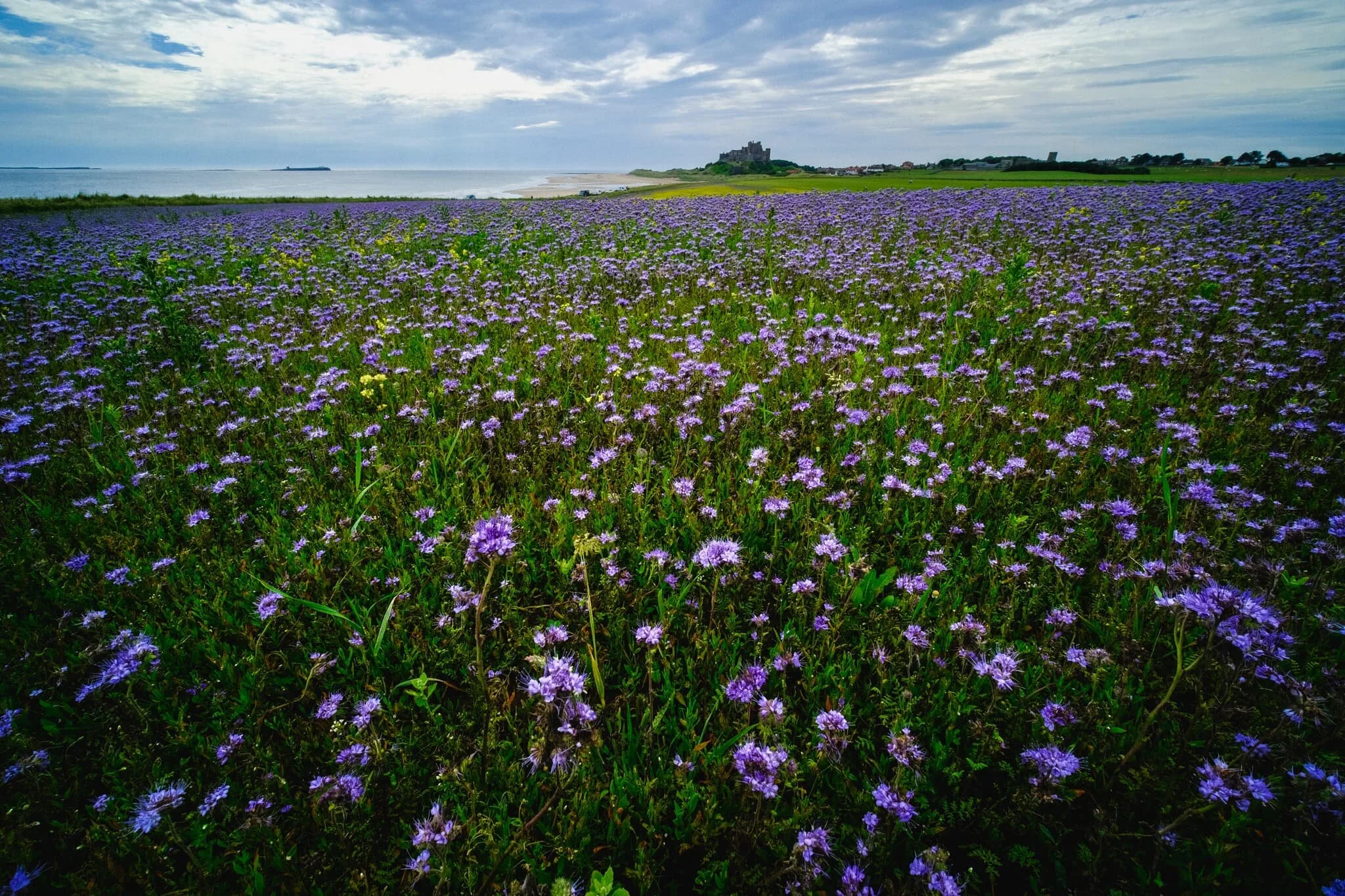  You&rsquo;ve gotta admit, it&rsquo;s a pretty stunning scene.  