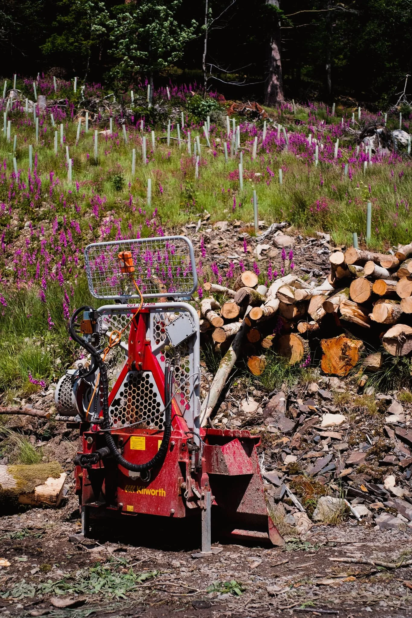  Machinery at rest is now dotted about the area of Barbondale woods. I&rsquo;m sure there are pertinent reasons to cut down so many trees, but it&rsquo;s still saddening. 