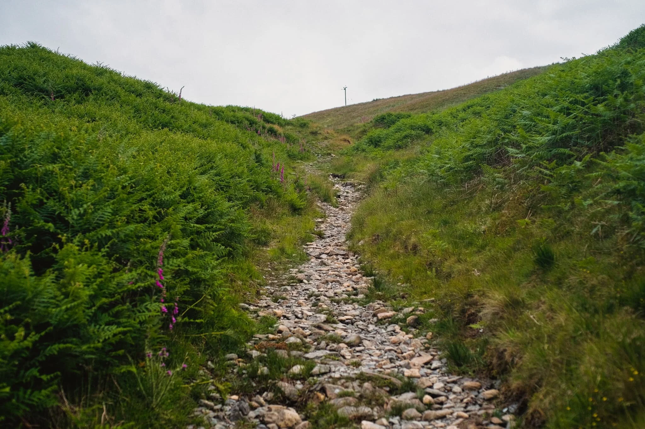  After stopping for lunch by Barbon Beck, we took the trail up the gill between Barbon Low and High Fell, clearly signposted for Bullpot. The deer flies were ravenous. 