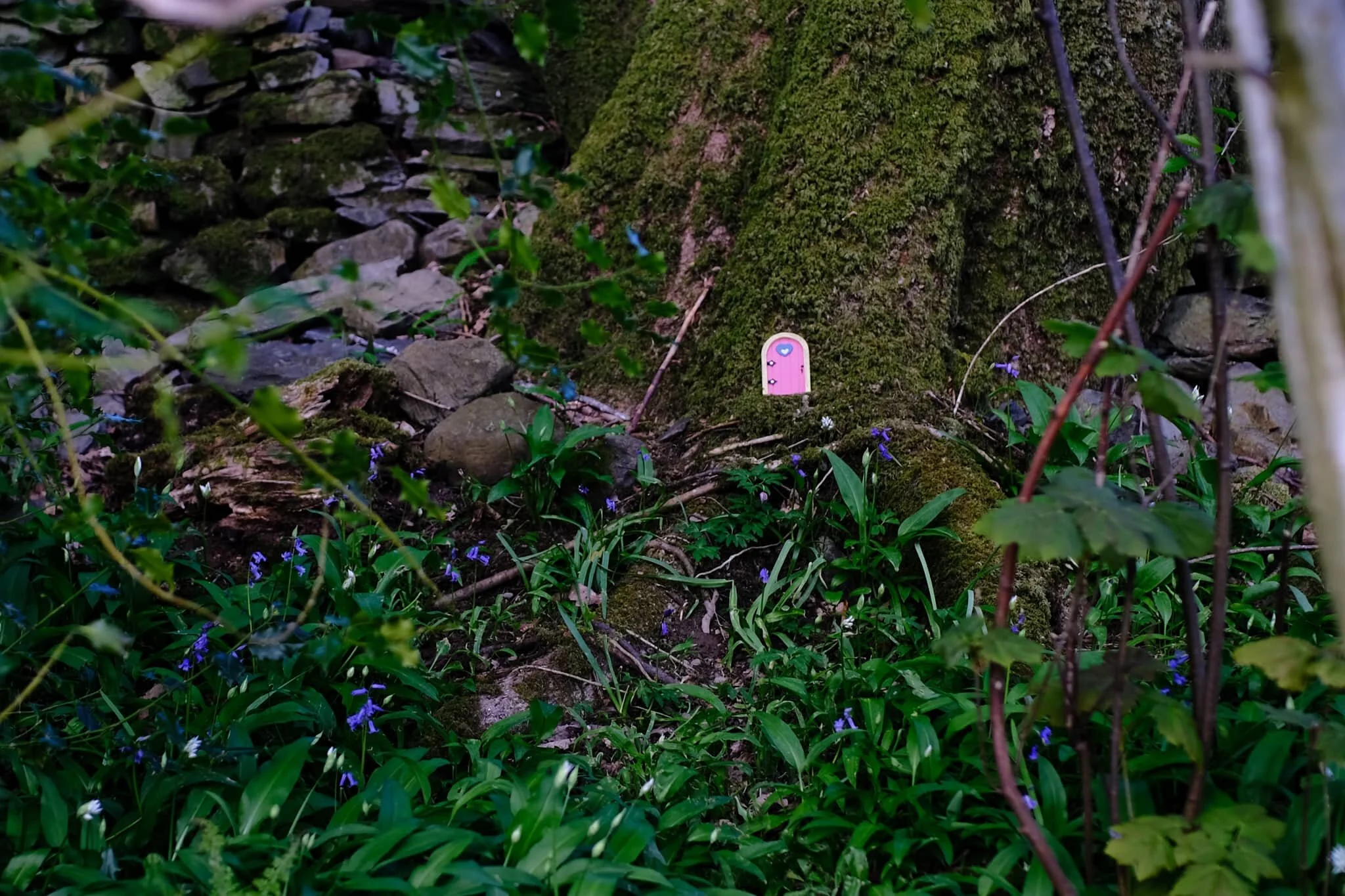  You&rsquo;re always bound to fine at least one oddity in a British woodland. 