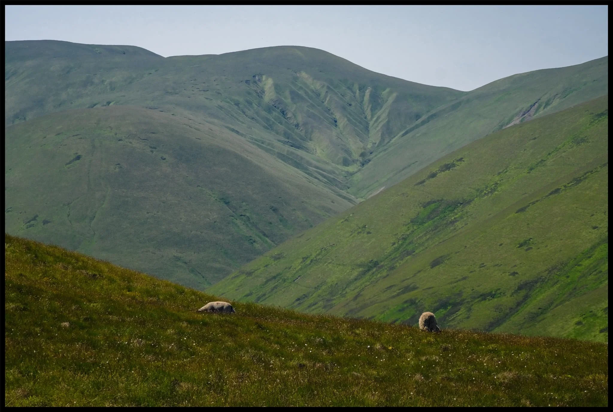  As I near the summit of West Fell, the views west towards Bush Howe above the Langdale valley open up. 