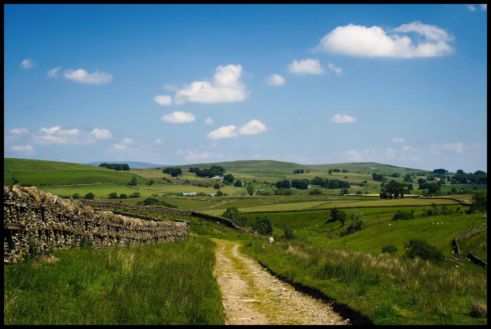  I returned to Bowderdale village, and ultimately my car, via the same route, snapping this beautiful bucolic scene. 