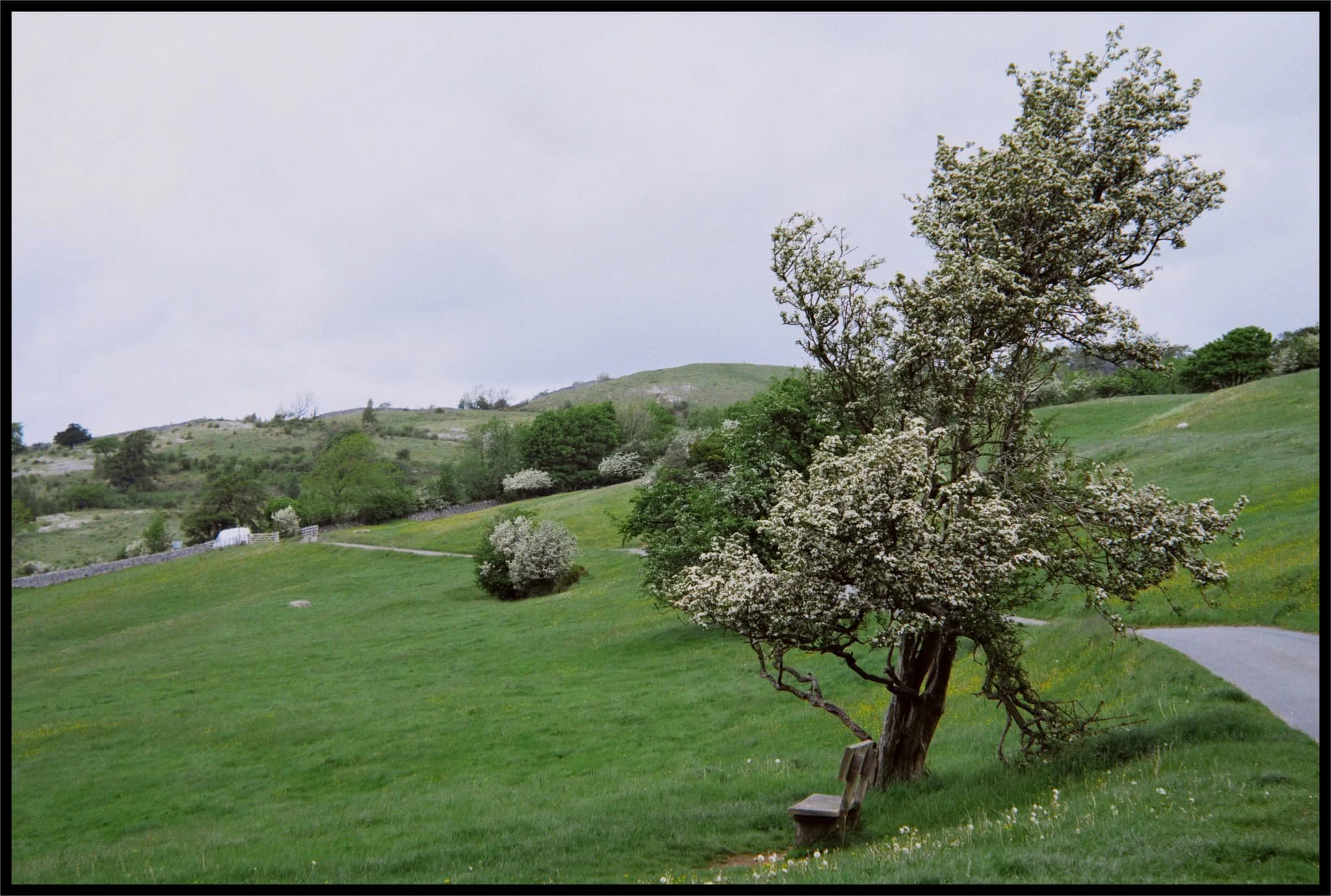  The southern shoulder of Scout Scar and the small road that allows access to Helsington St. John&rsquo;s Church. 