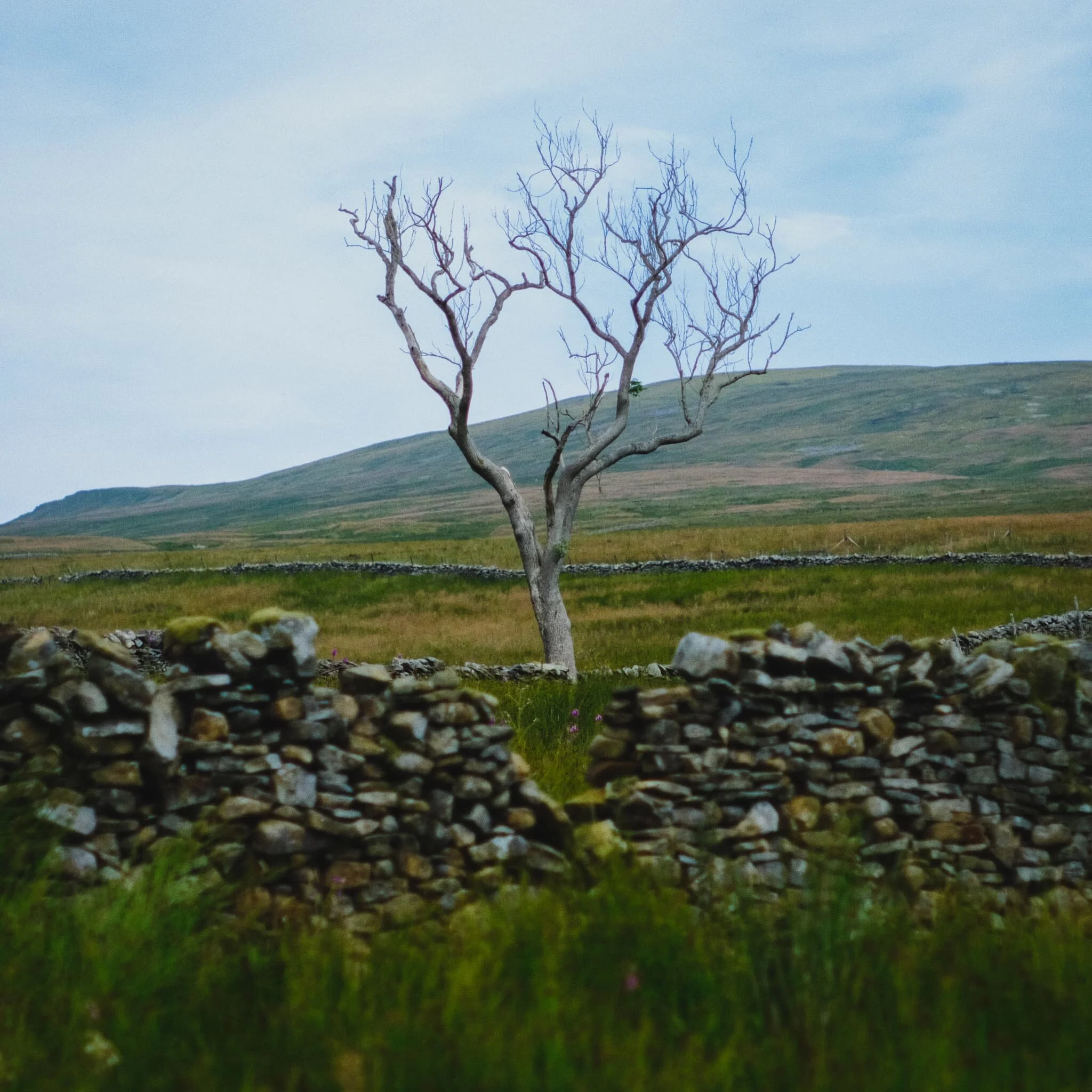  I saw it, lined it up, and took a photo of it. 