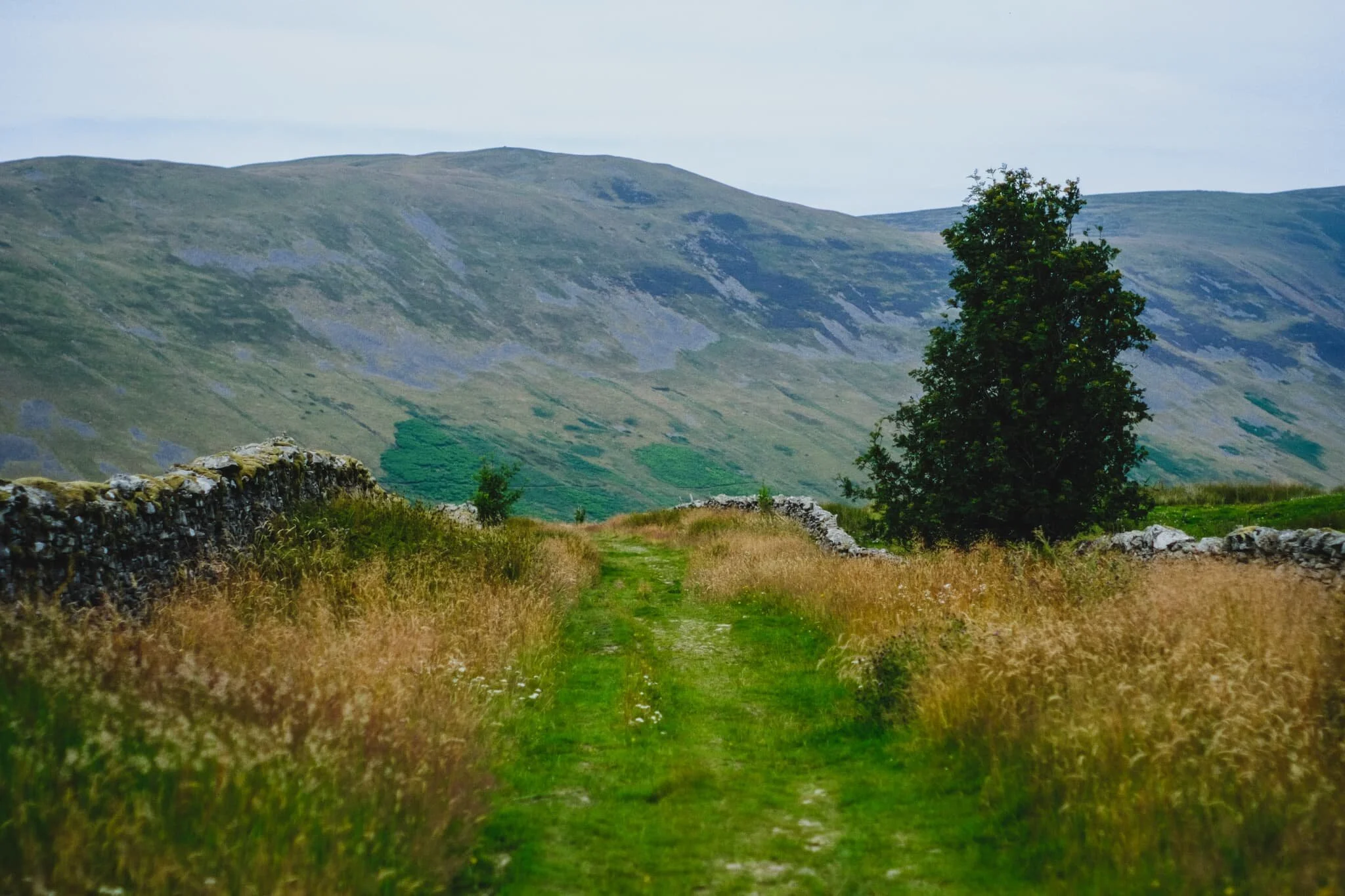  One final shot of the wall of fells above Barbondale known as Calf Top. 