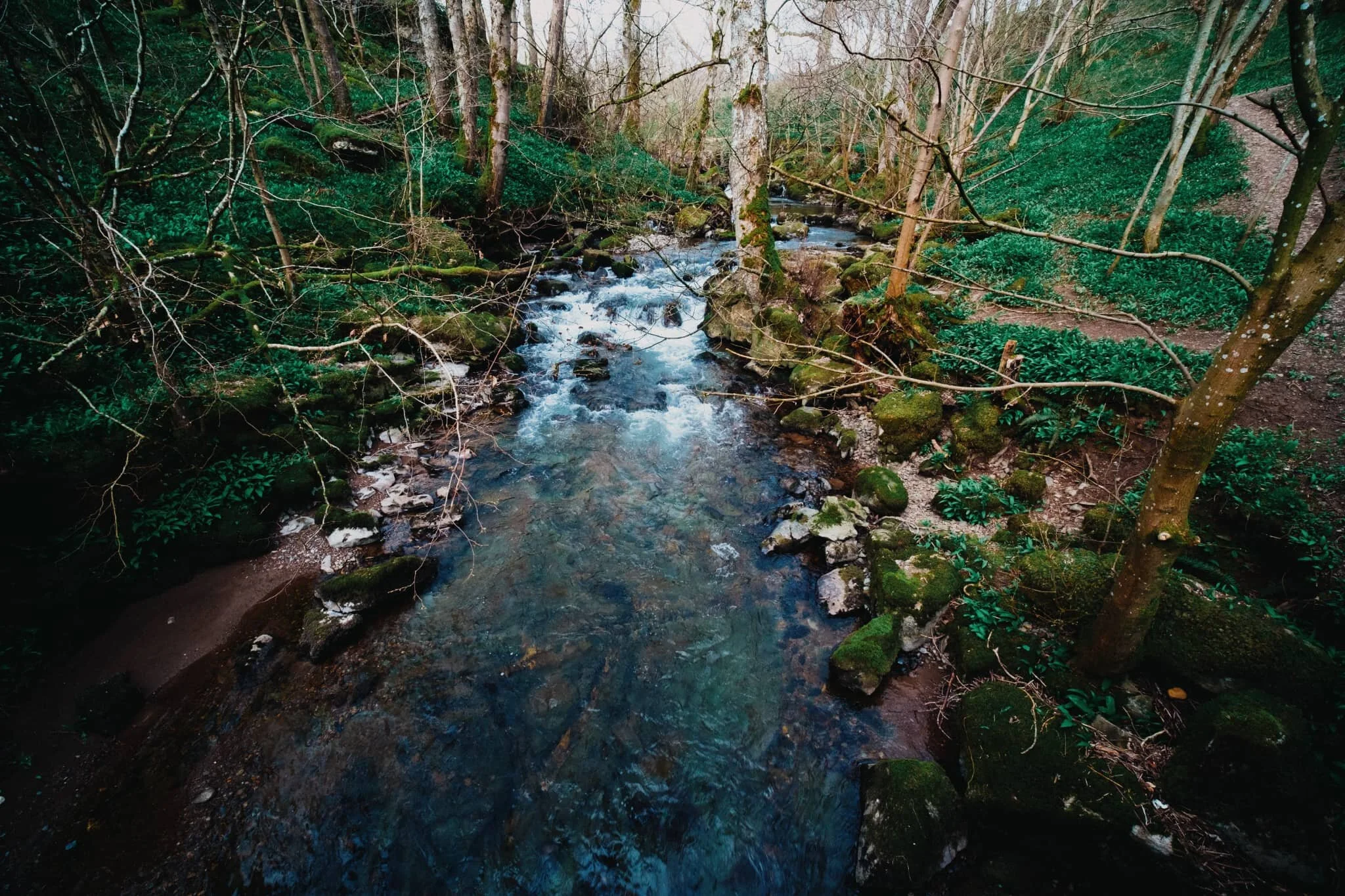  A shot from the other side of the bridge. I&rsquo;d never realised quite how much wild garlic grows in the Howk. Soon this gorge will be filled with tiny white flowers. 