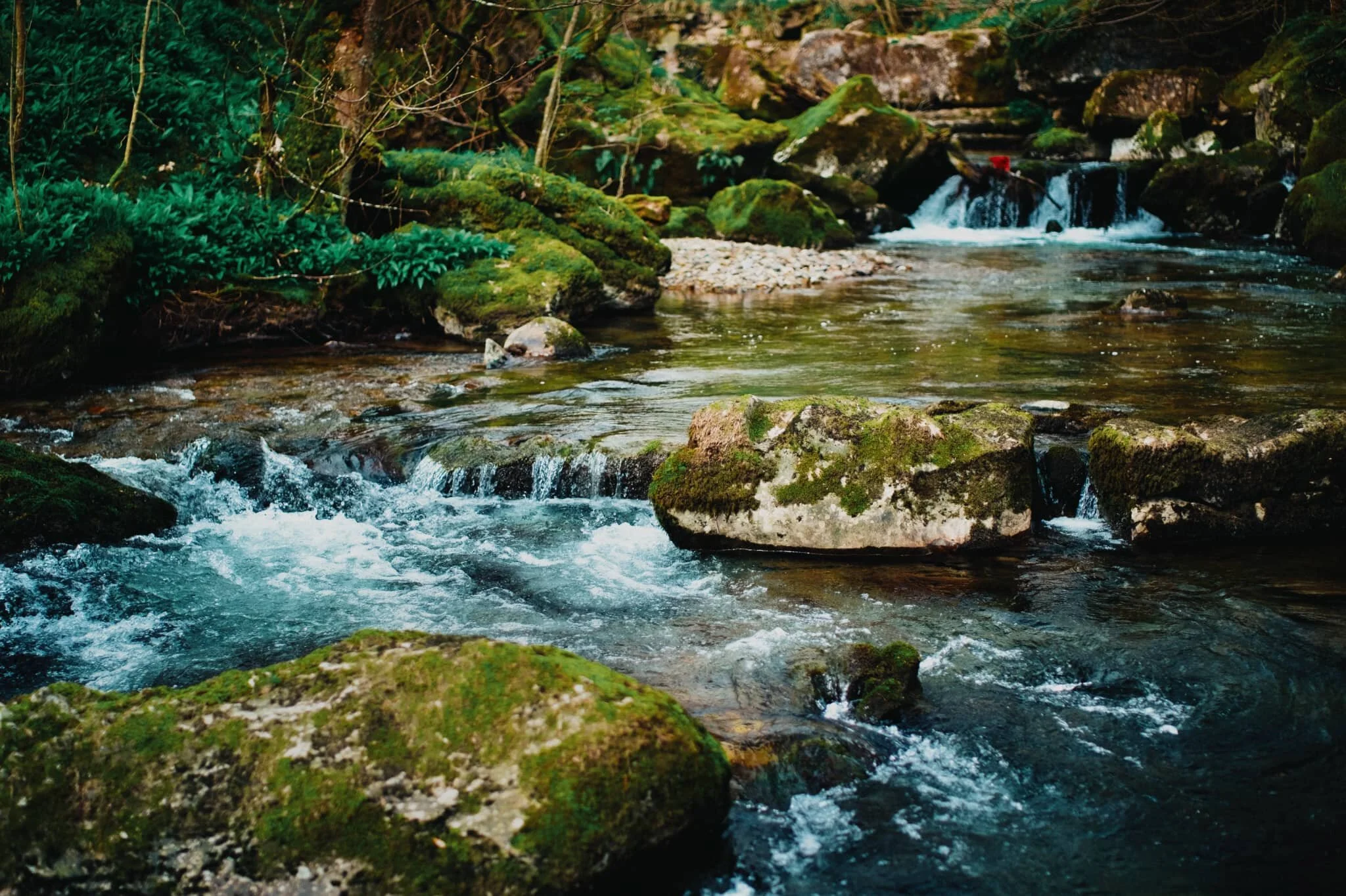  One of the main reasons why I bought a polariser: I  love  how it cuts the glare from water and vegetation. It really deepens the colours in a scene. 