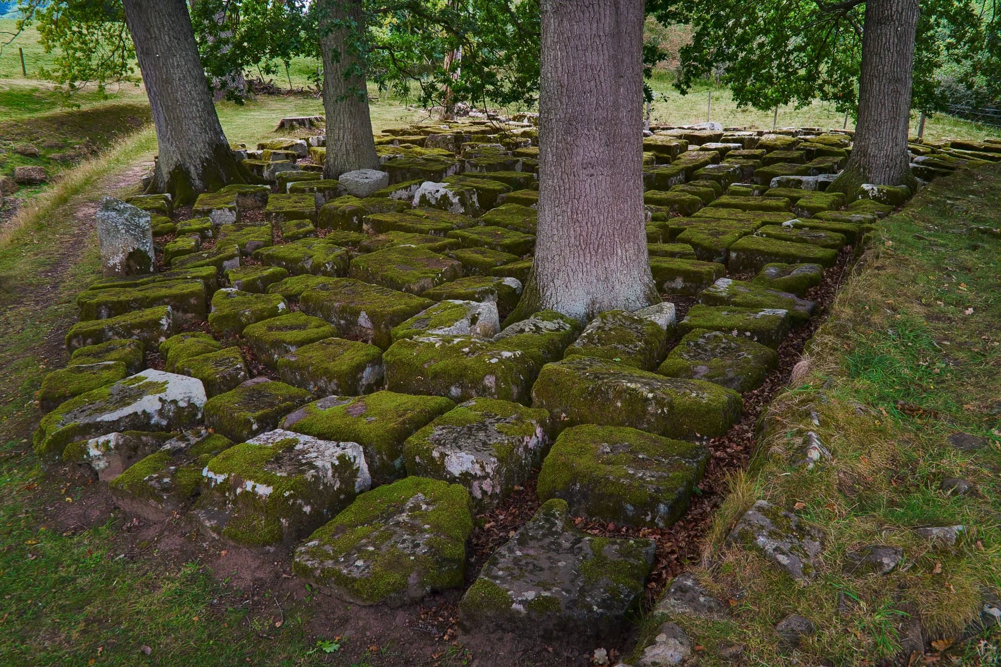 This is the &ldquo;Stone Park&rdquo;, near the abutment. These stone blocks were recovered during the excavation of the site in the 1980s. 