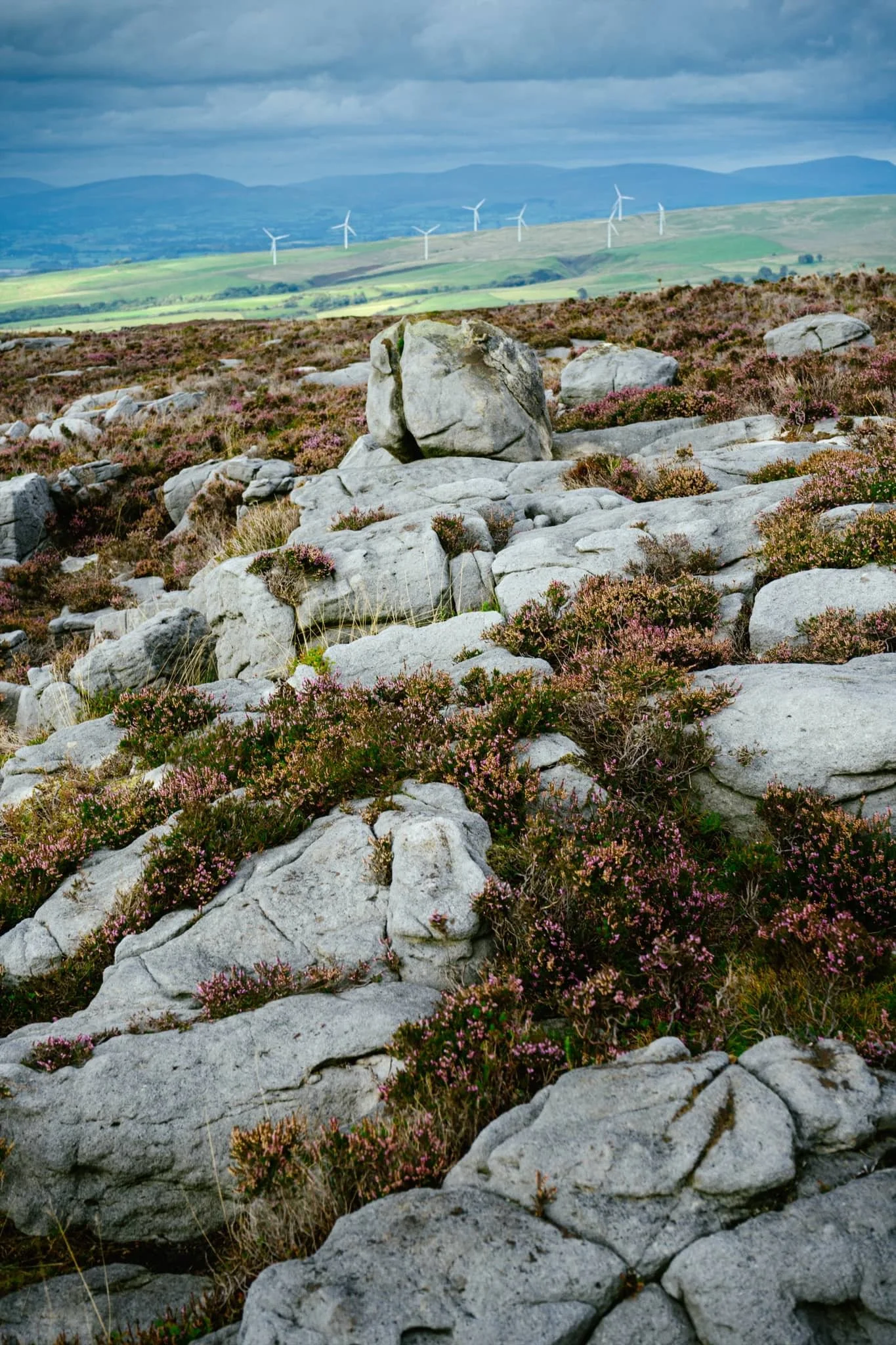  A gritstone platform with solitary boulders, wrapped in heather, provided a nice scene towards Caton Moor and the dark fells in the distance. 