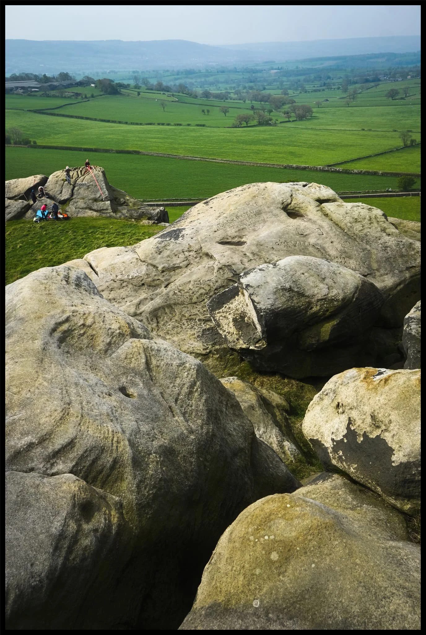  It&rsquo;s all starting to look beautifully verdant. 