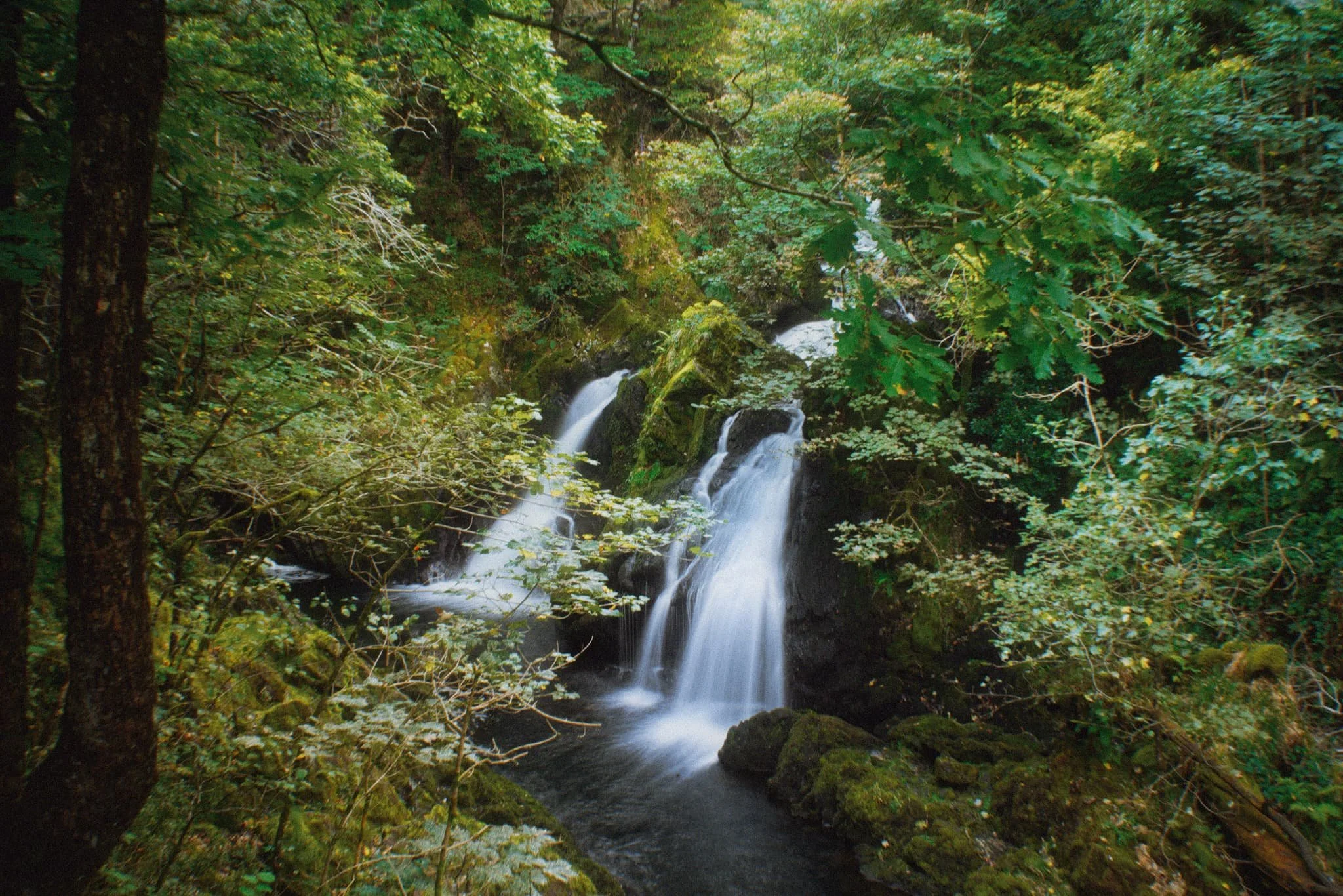 Colwithforce_Small 05