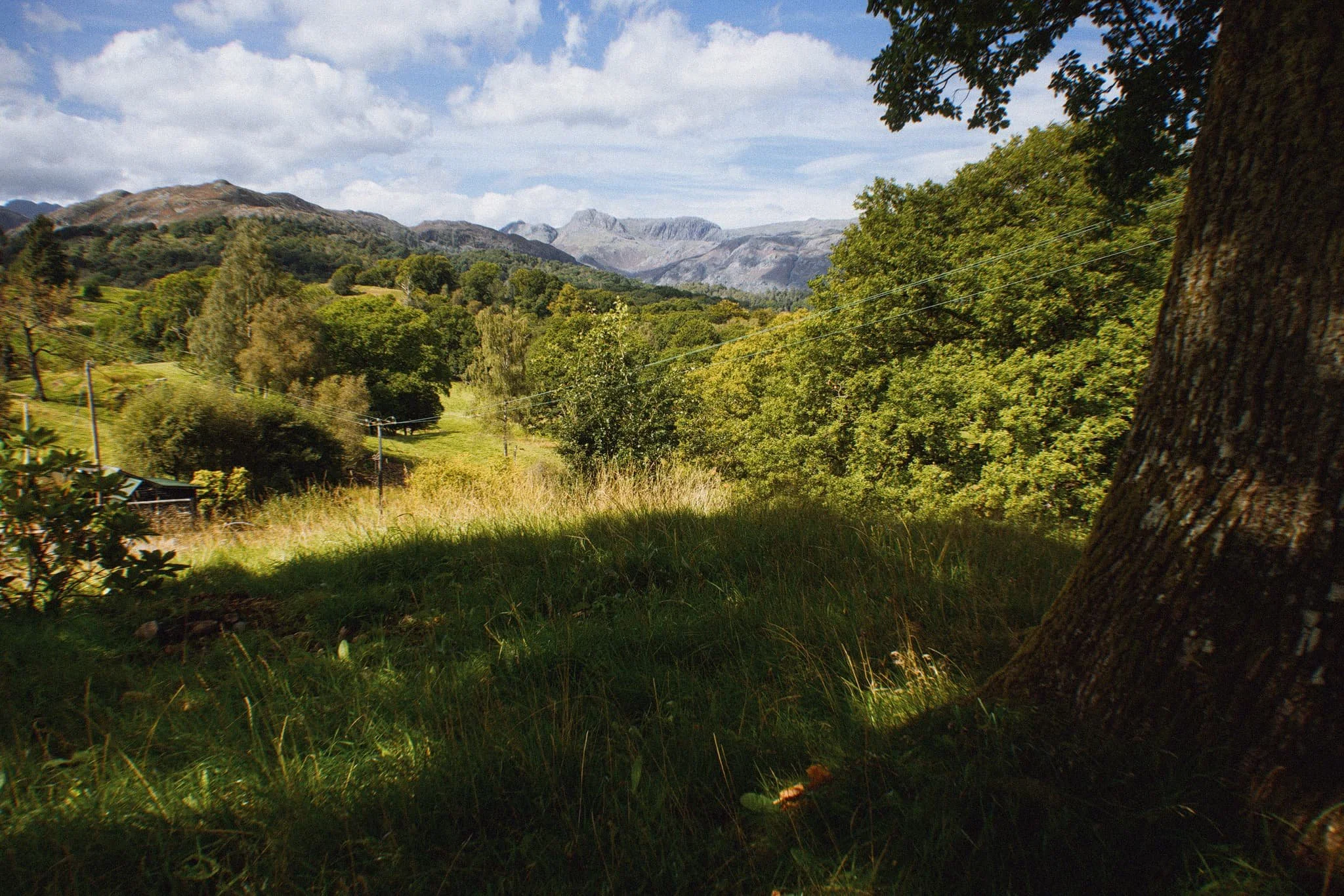 Colwithforce_Small 11