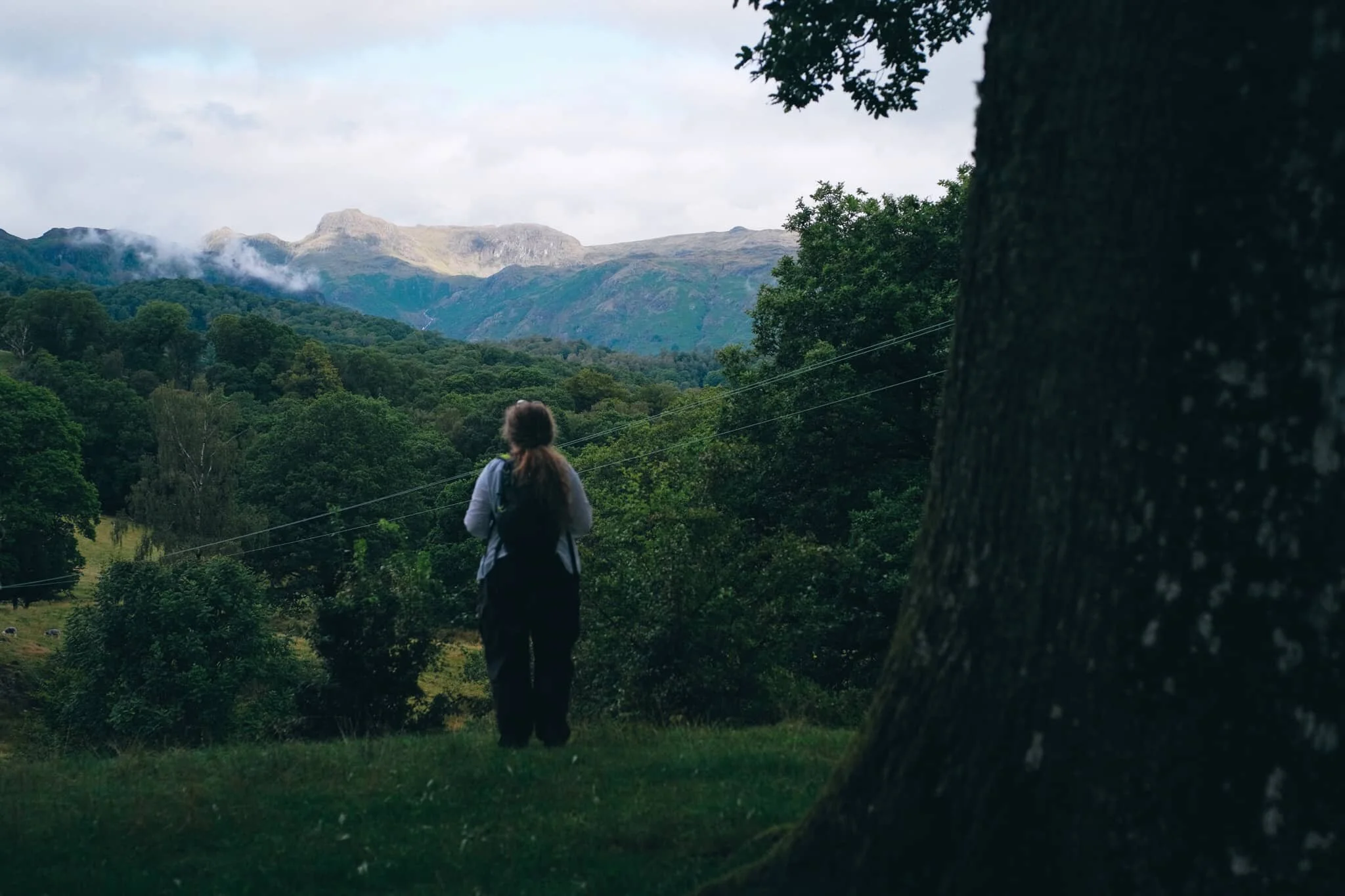  We crossed the river and double-backed onto the Cumbria Way, stopping near Park House and Park Farm for some glorious views towards the Langdale Pikes as the cloud started to clear from the fells. 
