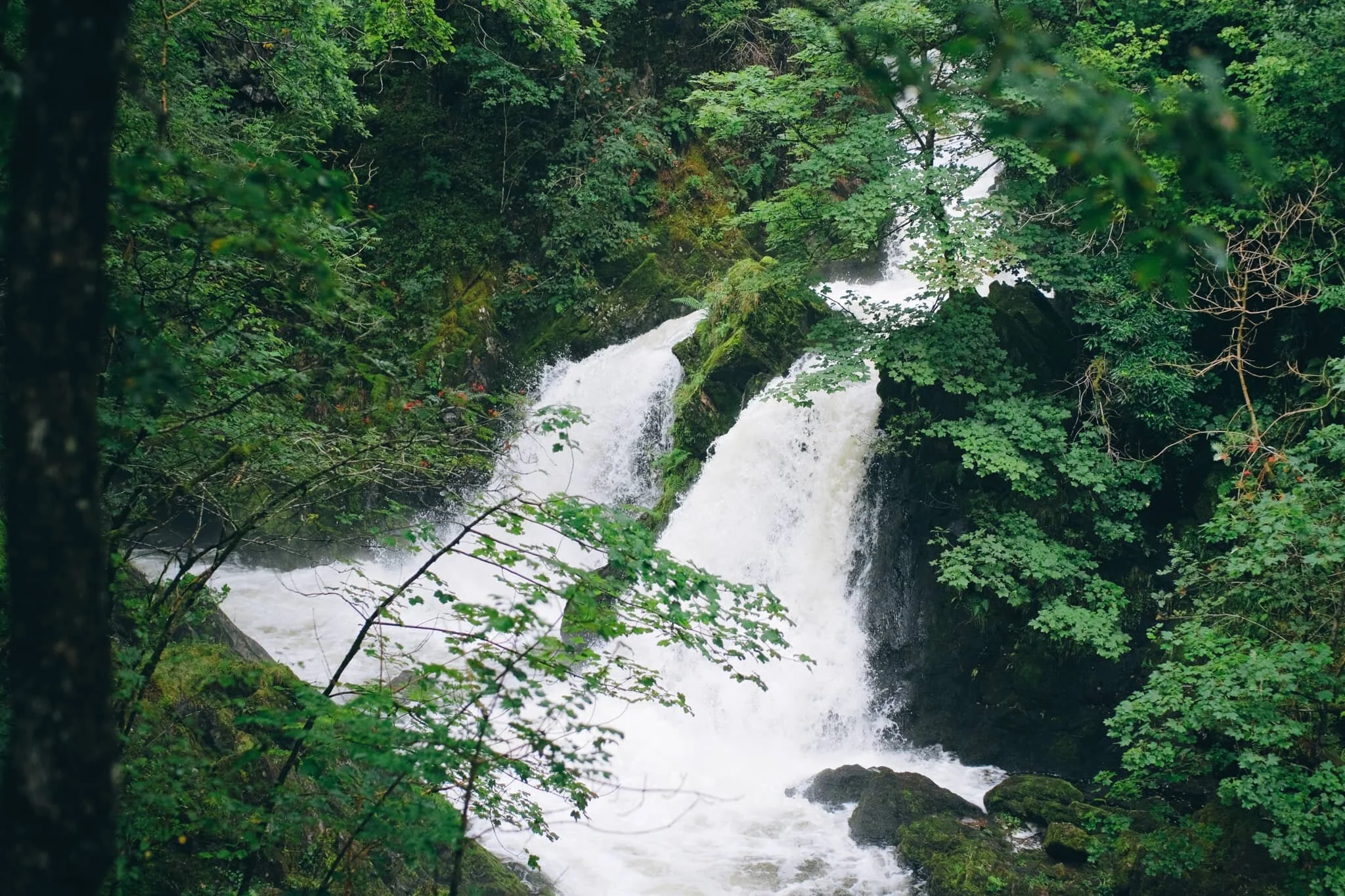  And there she is, looking absolutely incredible after all the rainfall we&rsquo;ve had. 