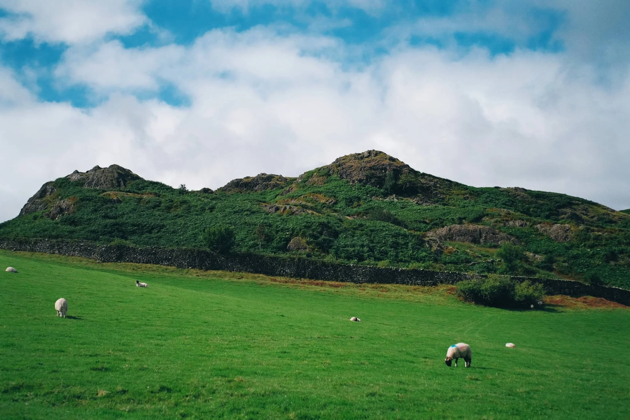  After popping out of the top of the woods you&rsquo;re greeted with the craggy top of Great How. Additionally, the sun decided to show its face. 