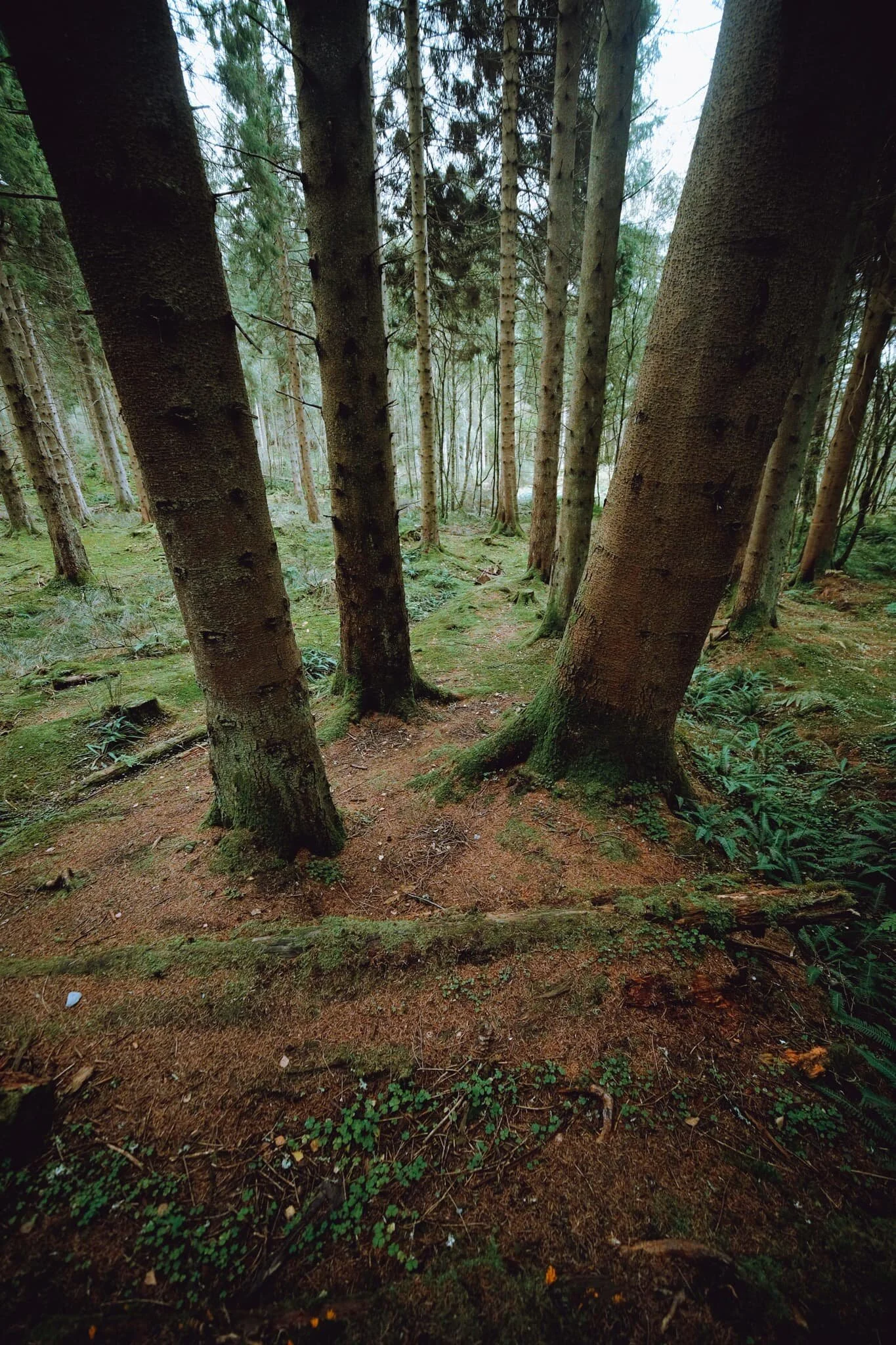  What a crackin&rsquo; hike. 