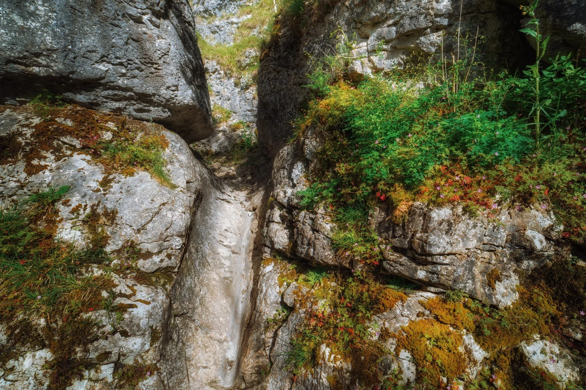  The only way up and out of the gorge, a tiny person-wide chute, evidence of where prehistoric water would&rsquo;ve raged through this gorge. 