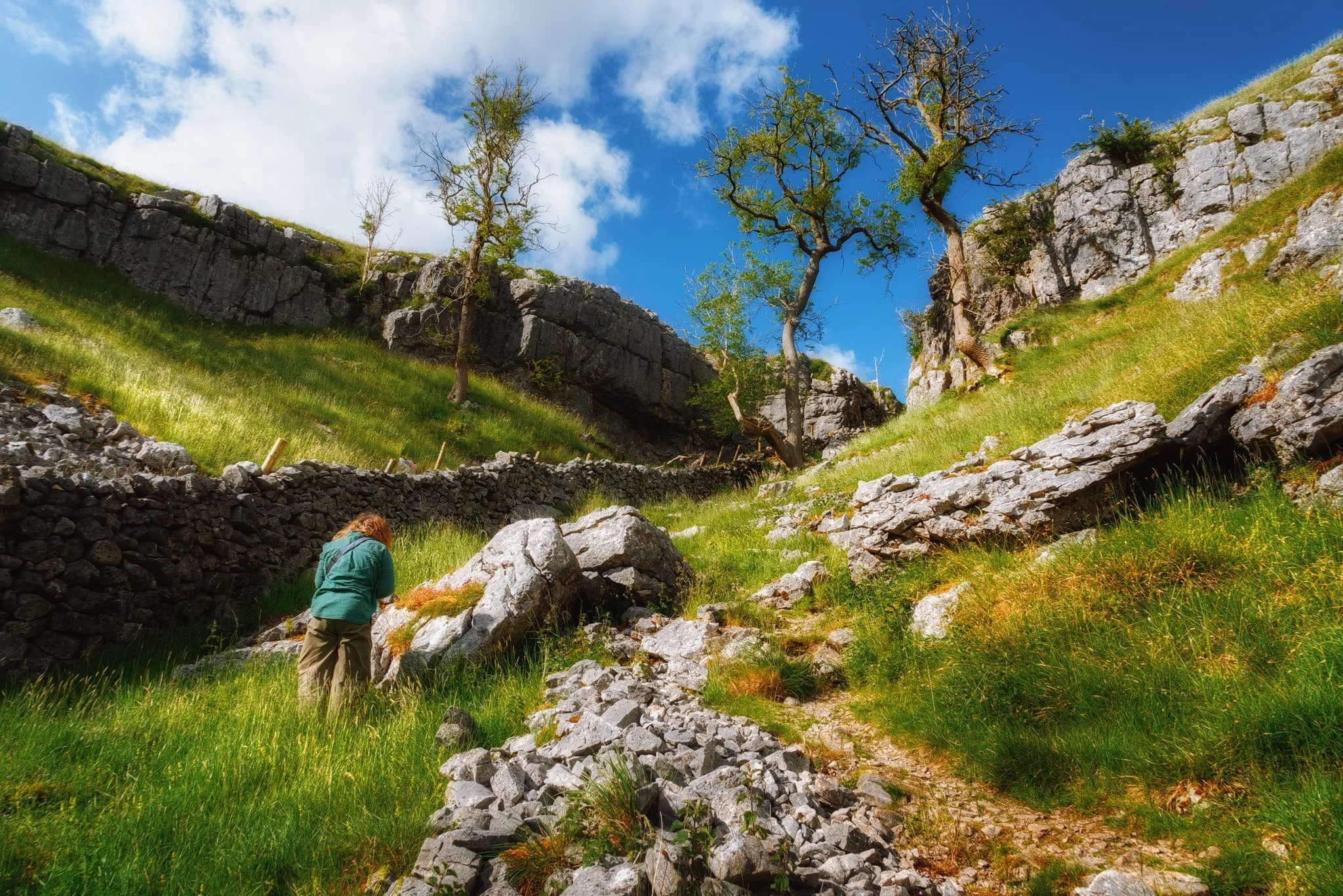  Near the top, Lisabet stops to photo some flora that her eagle-eye spotted. Two trees act as a kind of &ldquo;gateway&rdquo;, marking and maybe even guarding the exit. 