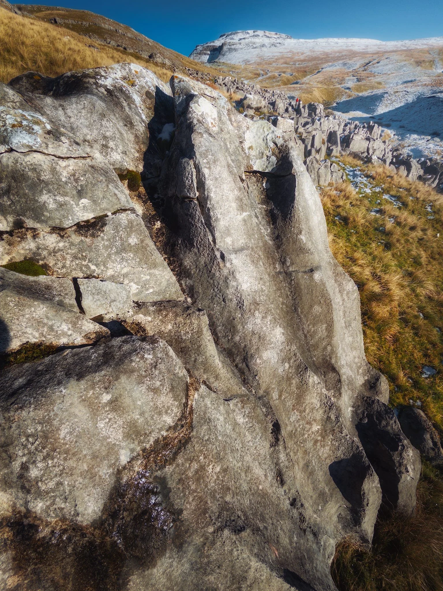  Smooth and carved limestone boulder shows evidence of the limestone&rsquo;s origins in the sea. 