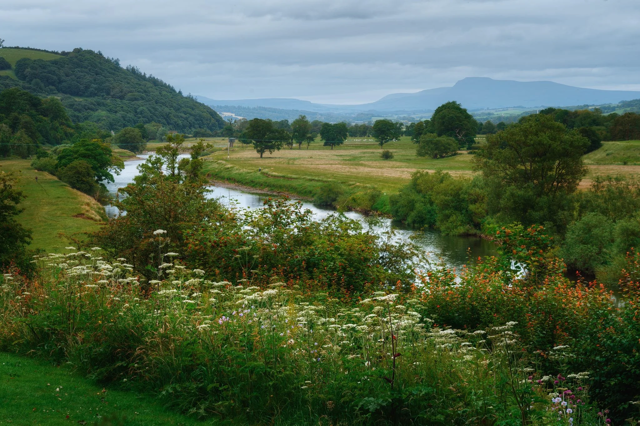  The famous view of the Crook o&rsquo; Lune, ringed by wildflowers with the shadow of Ingleborough looming in the distance. The steep hill to the left, View Field, is what contributes to the sudden change in direction of the Lune. 
