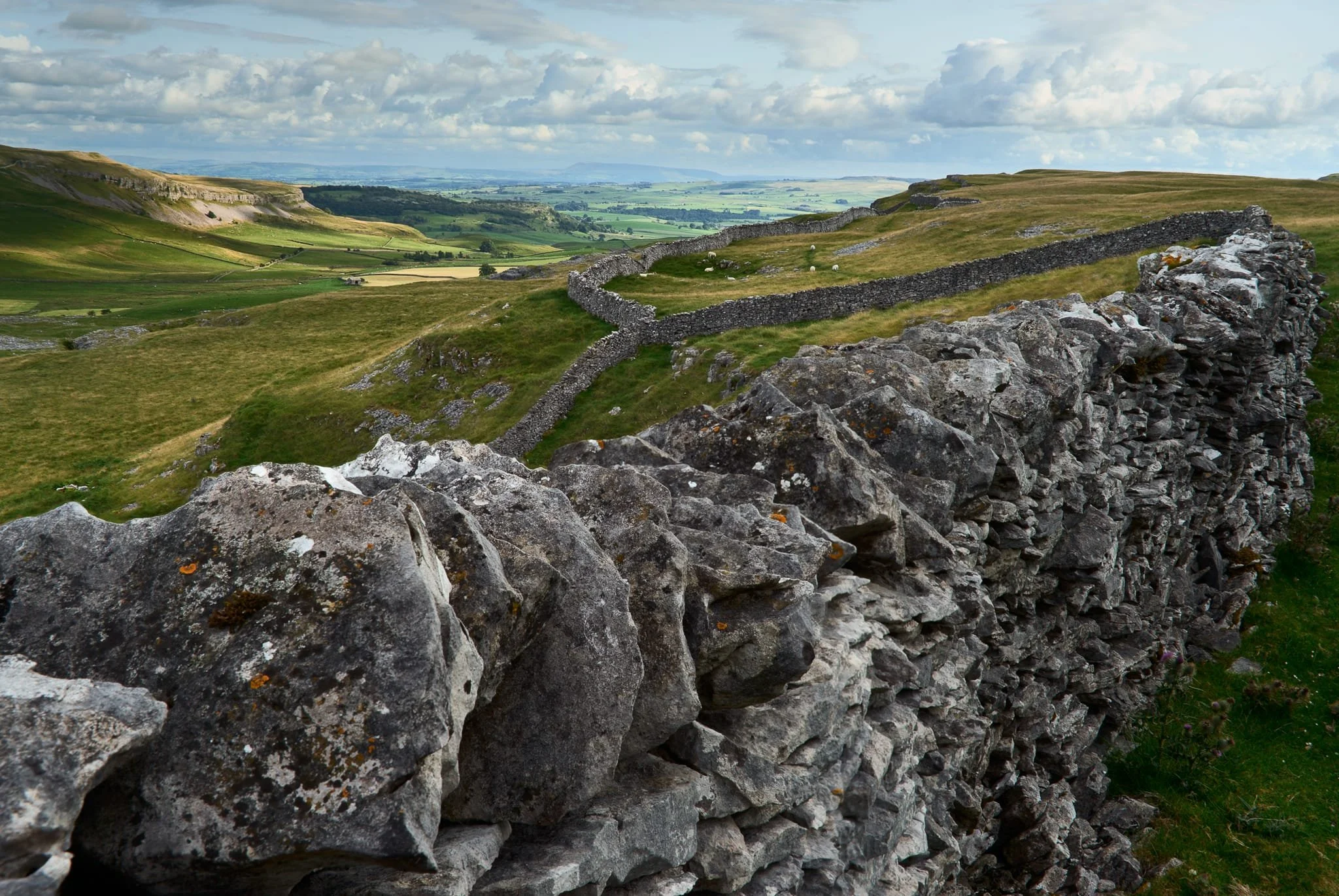  On our return journey, the stormy skies were receding, leaving lovely evening golden light to bathe the contours of Crummackdale. 