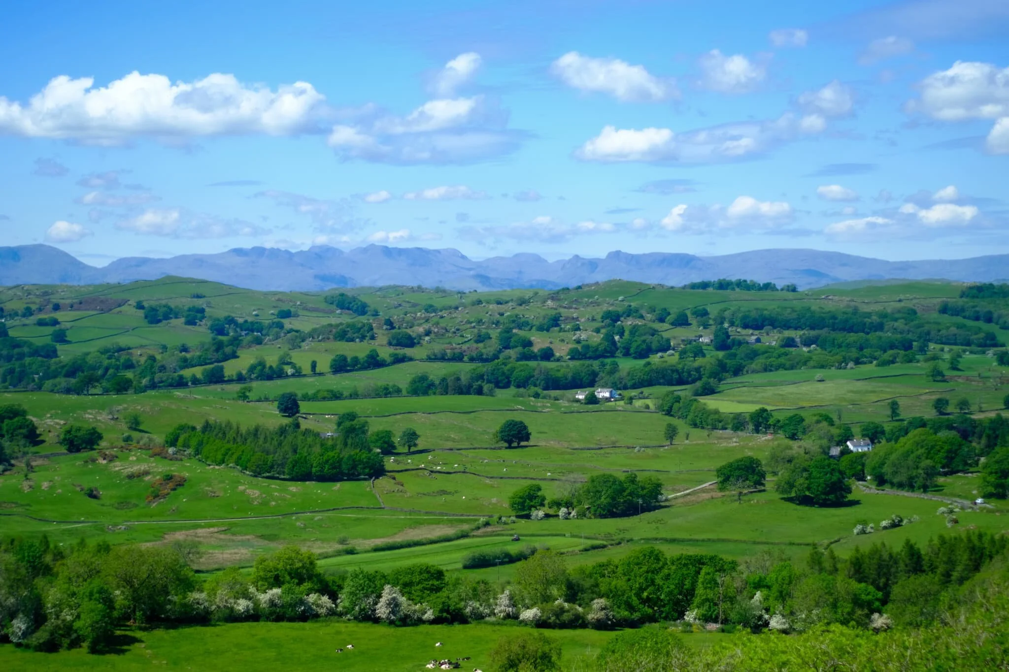  The Lake District fells across the Lyth Valley from Cunswick Fell. It doesn&rsquo;t get a lot better than this. 