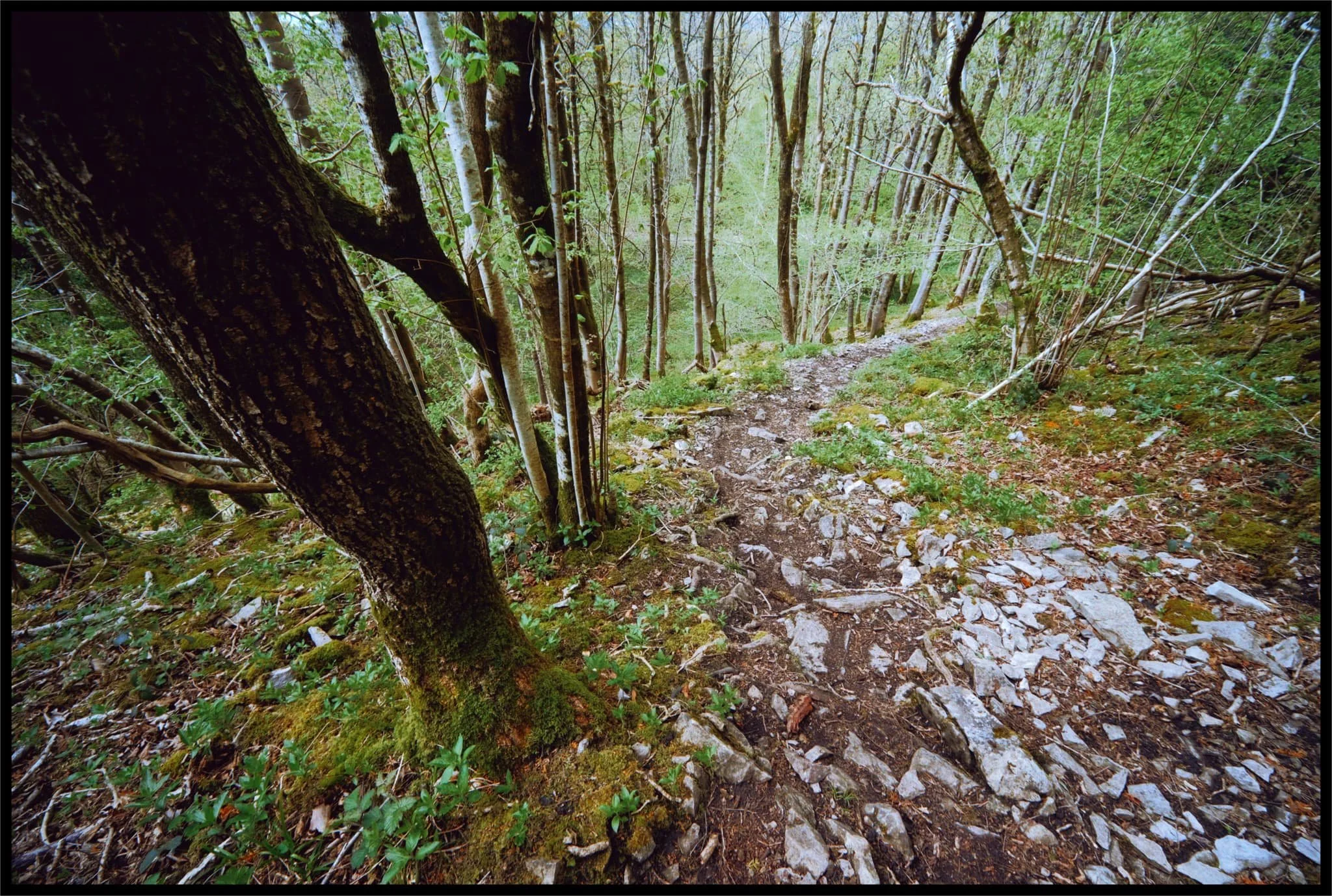  Looking back at the steep climb we just made. 
