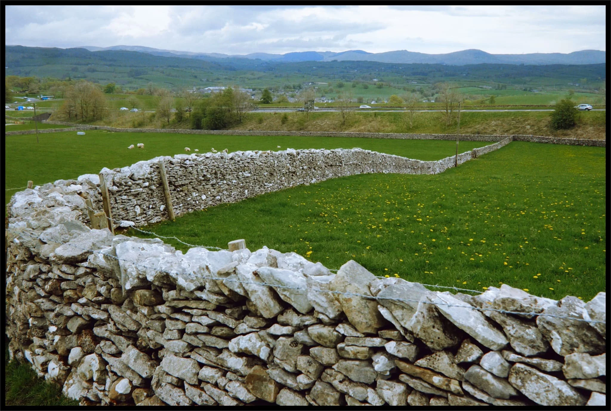  See? Can&rsquo;t resist &rsquo;em. 