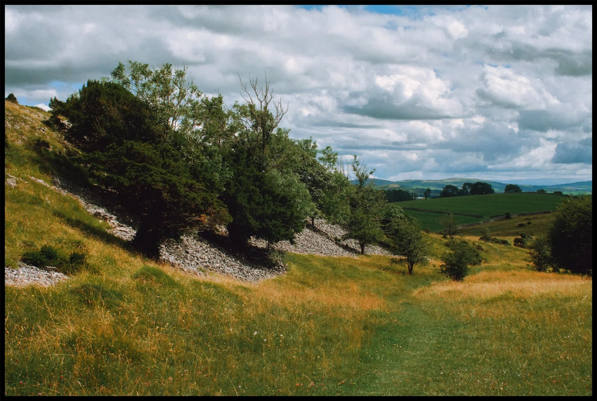  Time to navigate off Cunswick Scar&rsquo;s shoulder. Like Scout Scar, the fell is primarily composed of limestone, so different flora flourishes on the fell compared to the Kendal valley. 