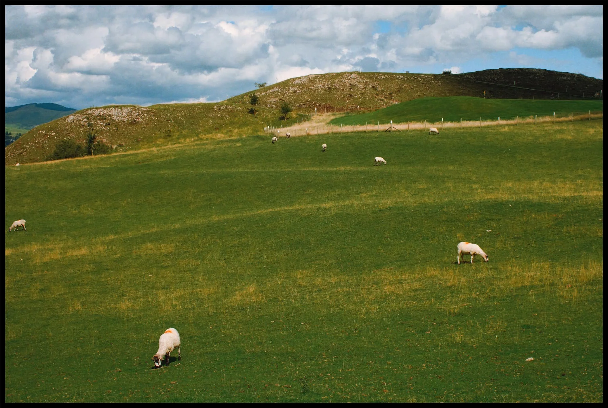 For the returning route, I chose the path over Kendal Fell Golf Course. Across the field is the back of Helsfell Nab. 