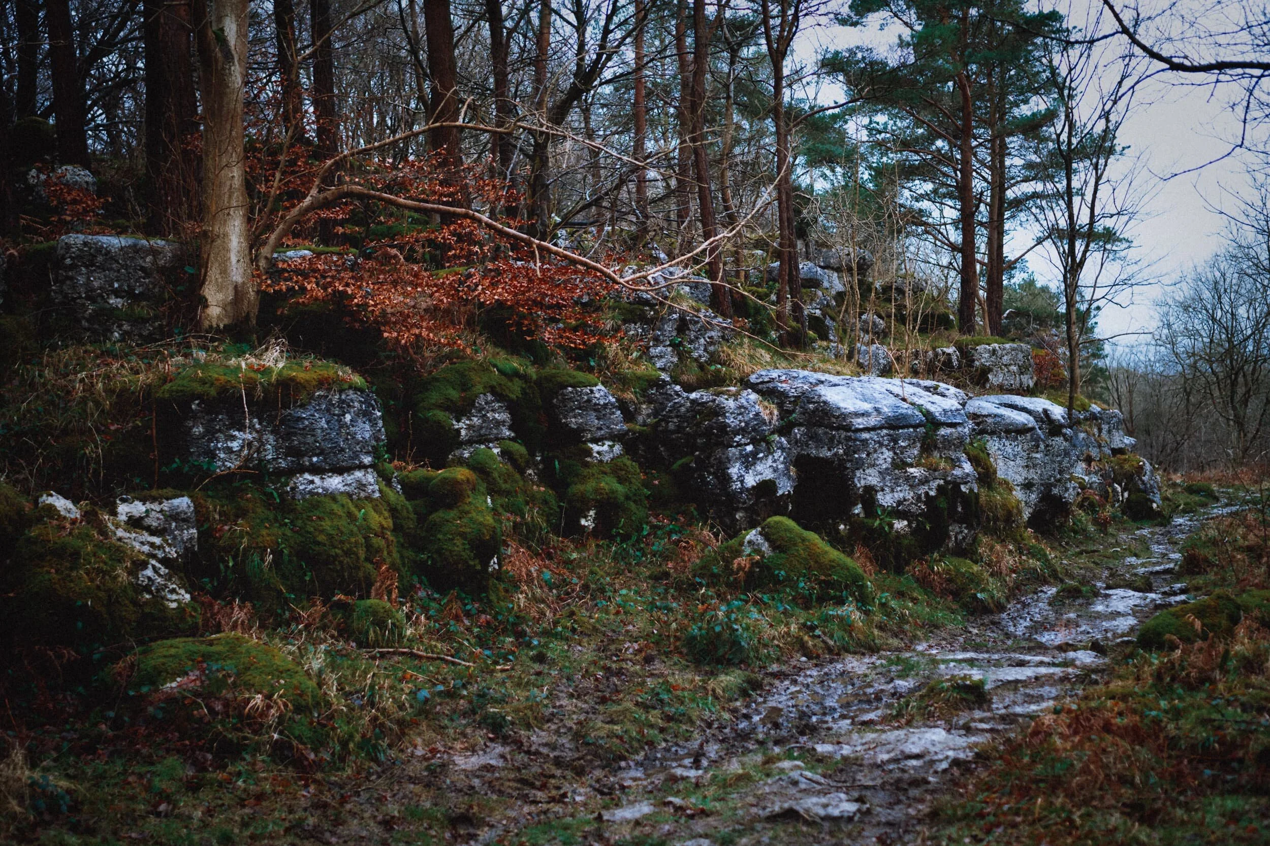 Daltoncrags_Small 06