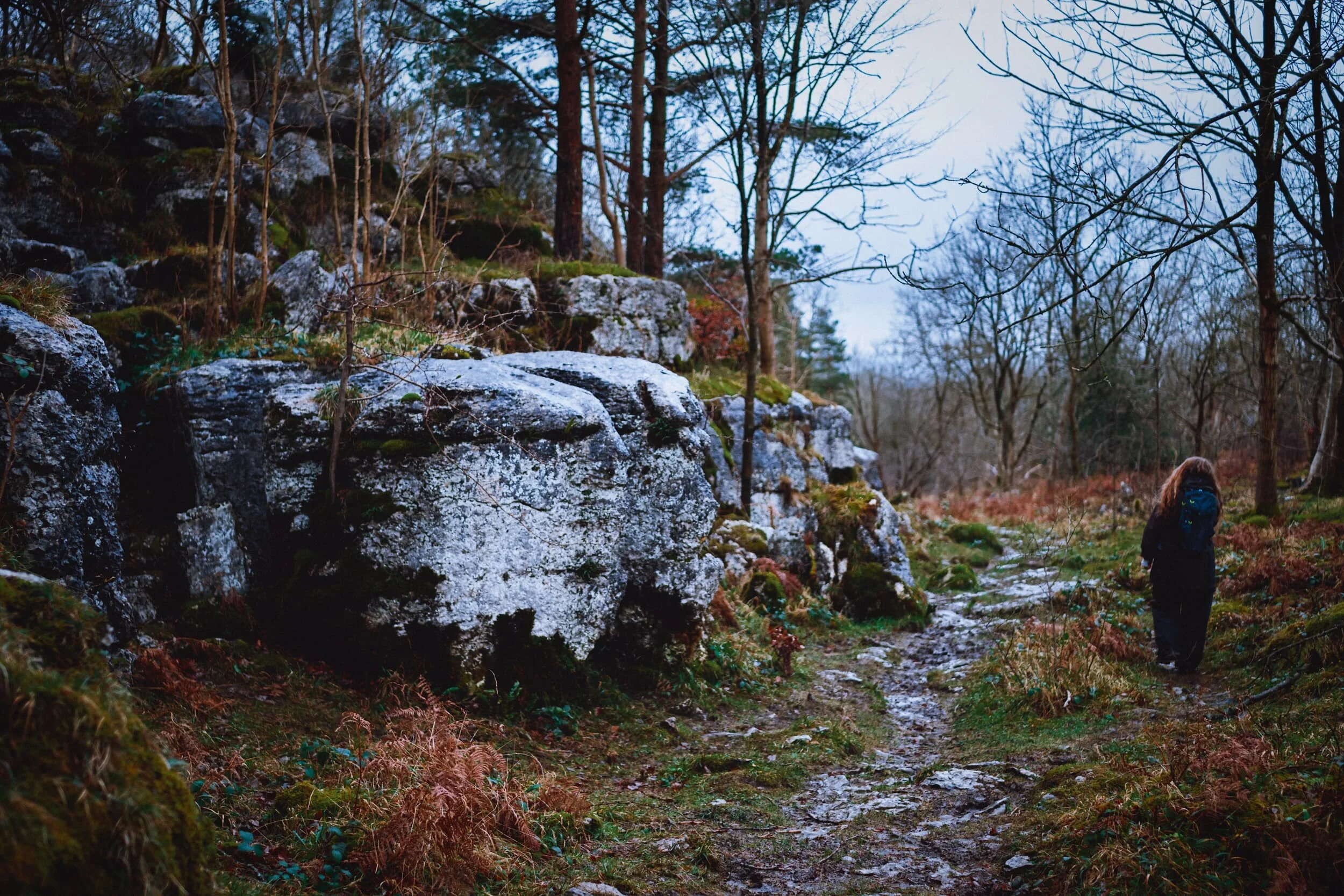  A Lisabet for scale. 