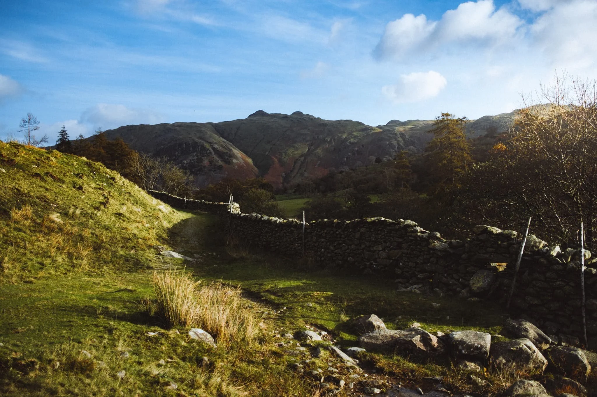  It&rsquo;s always important to remember: don&rsquo;t forget to look behind you. Otherwise I would&rsquo;ve missed this lovely composition. 