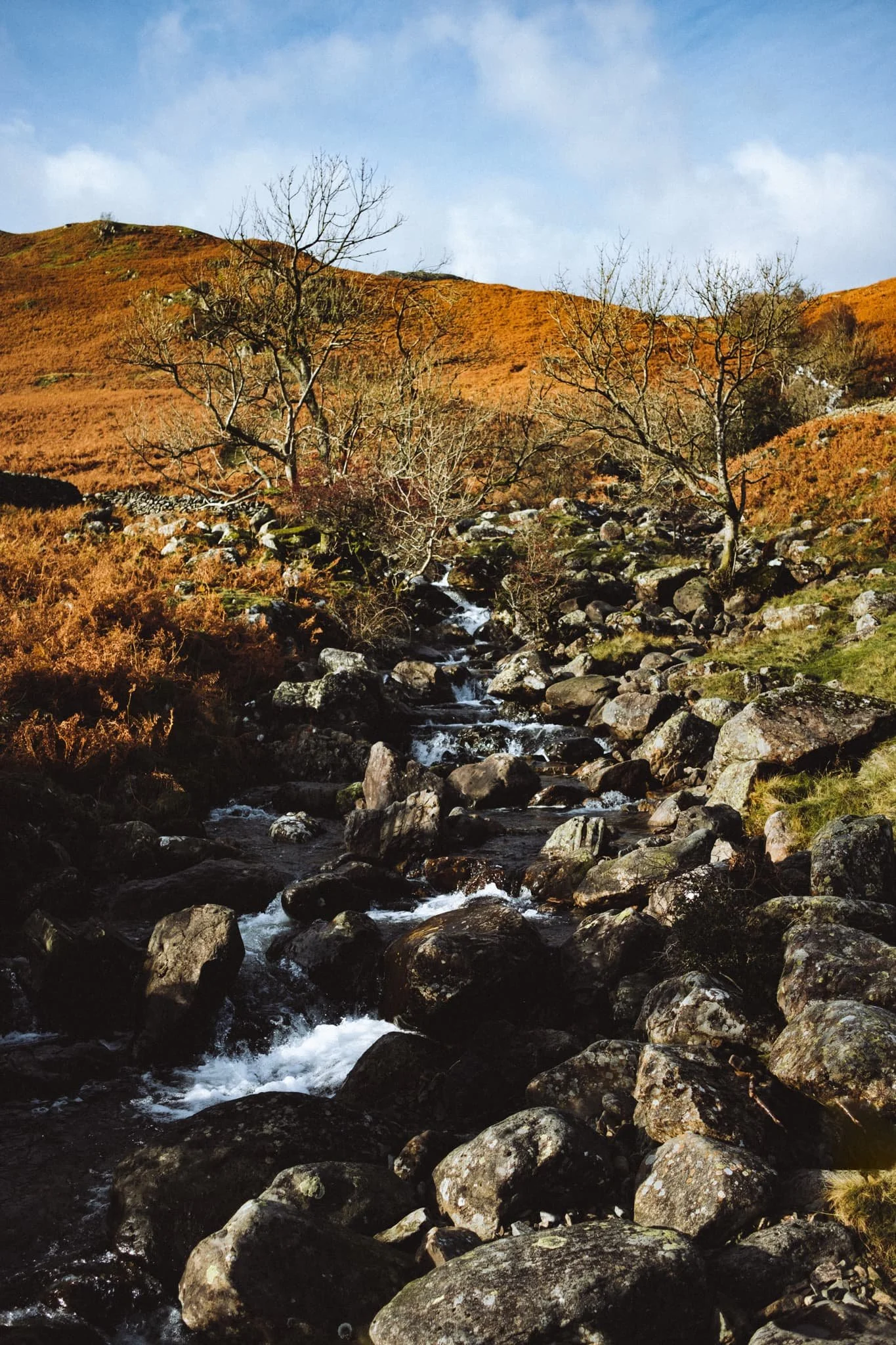  Aureate light highlights the boulders that line the cascades of Coldcove Gill. 
