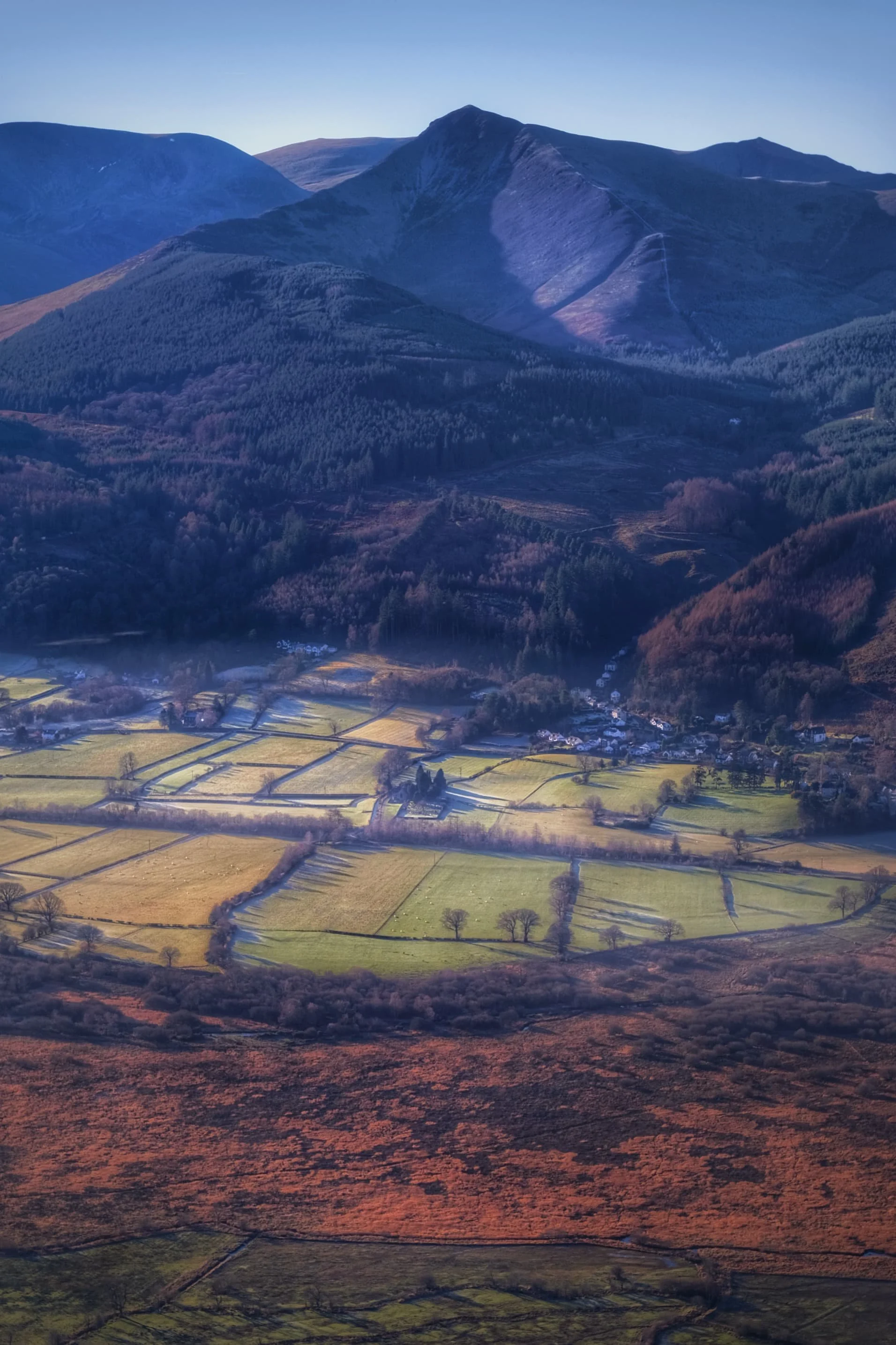  The shapely peak pictured above the dale here is Grisedale Pike. 