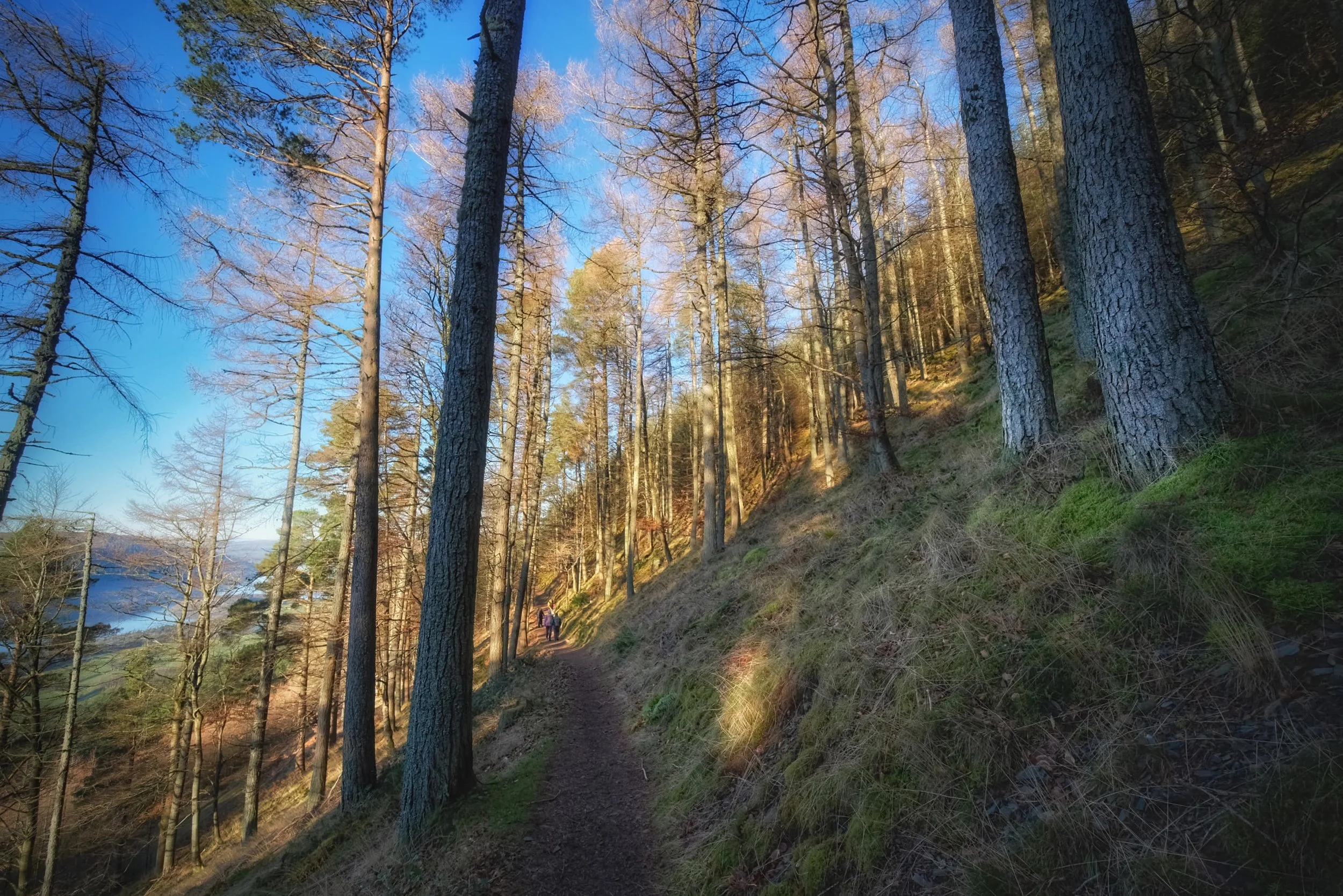 The way back down Dodd&rsquo;s southern aspect is quite steep, but no less beautiful. 