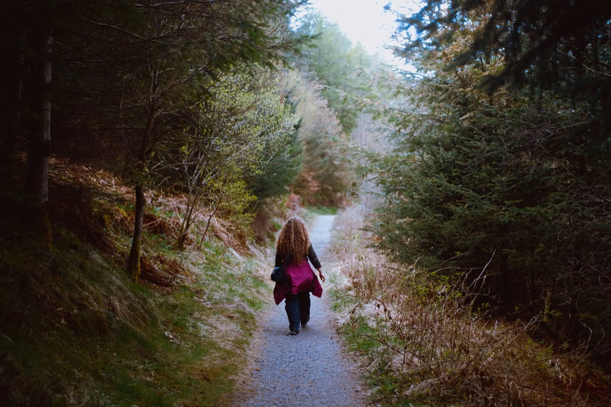  About three quarters of the way through the hike, the tree cover starts to open up, letting in more light. I quickly snapped this photo of my lovely Lisabet as she entered a zone of open light. 