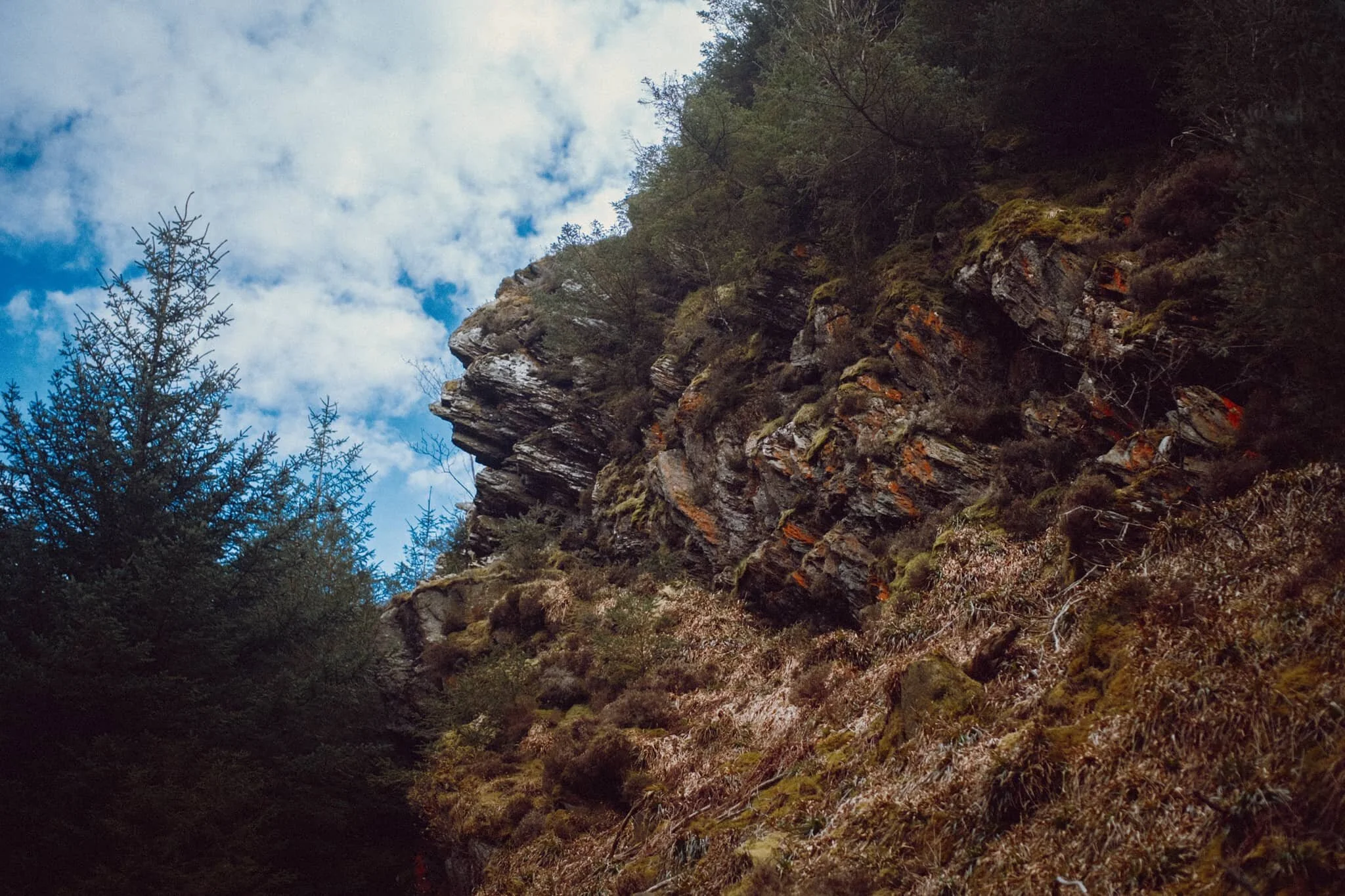  Underneath Dodd summit I spotted this wonderful crag marked with flecks of vivid orange and red. I wonder if there&rsquo;s iron ore in the rock around here? 