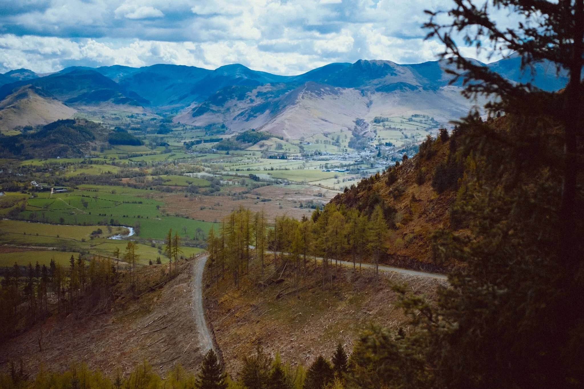  The Newland Valley and its fells, with the Dodd Summit exit trail below. 