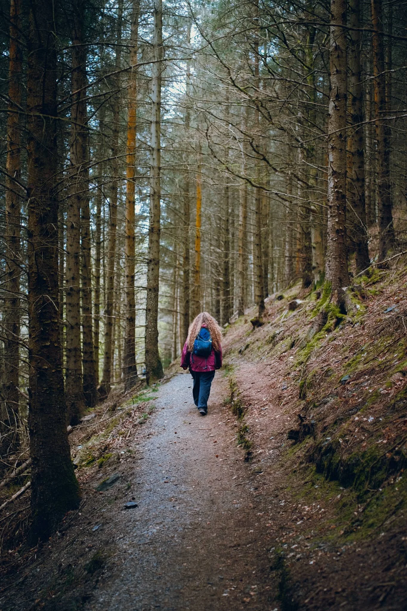  Following the narrow trail back down the slopes of Dodd 