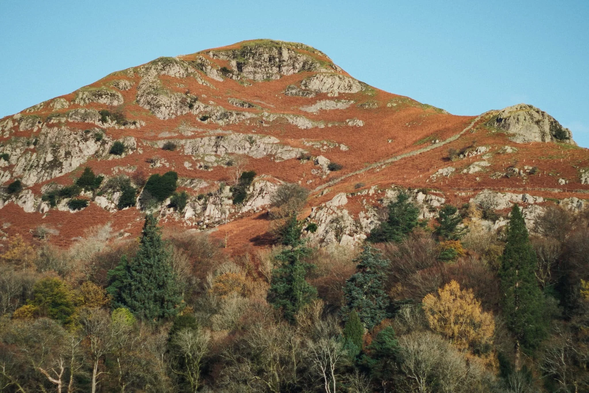  To our right are the slopes of Helm Crag. Though not a tall fell by Lake District standards, it is deceptively steep. 